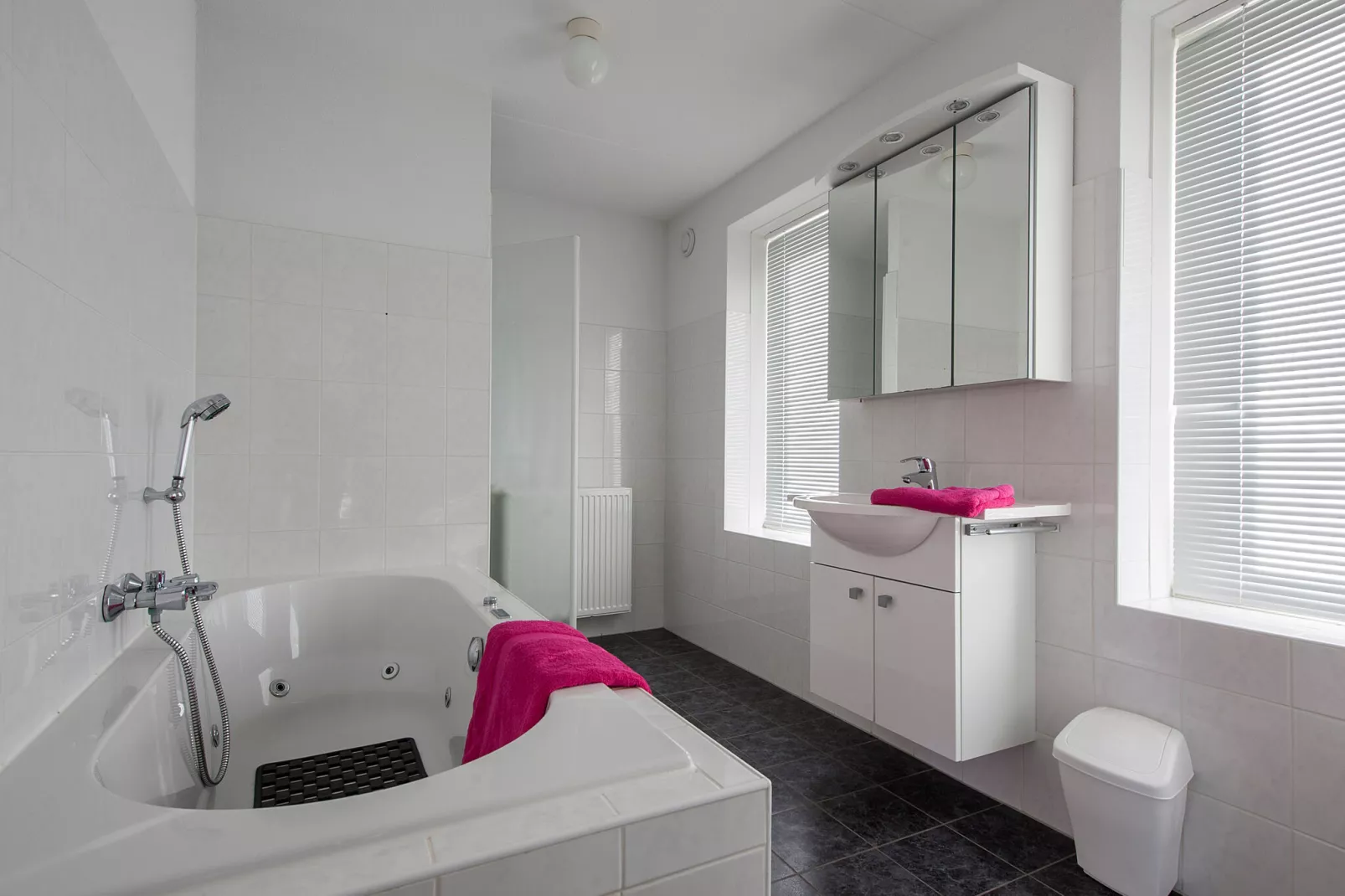 Aquadelta 38-Bathroom