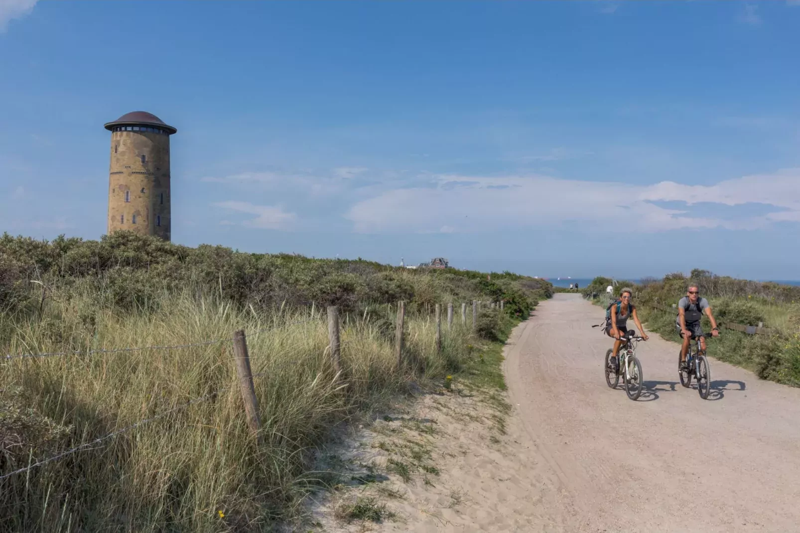 Brouwersbuurt 23a  Domburg-Areas summer 1km