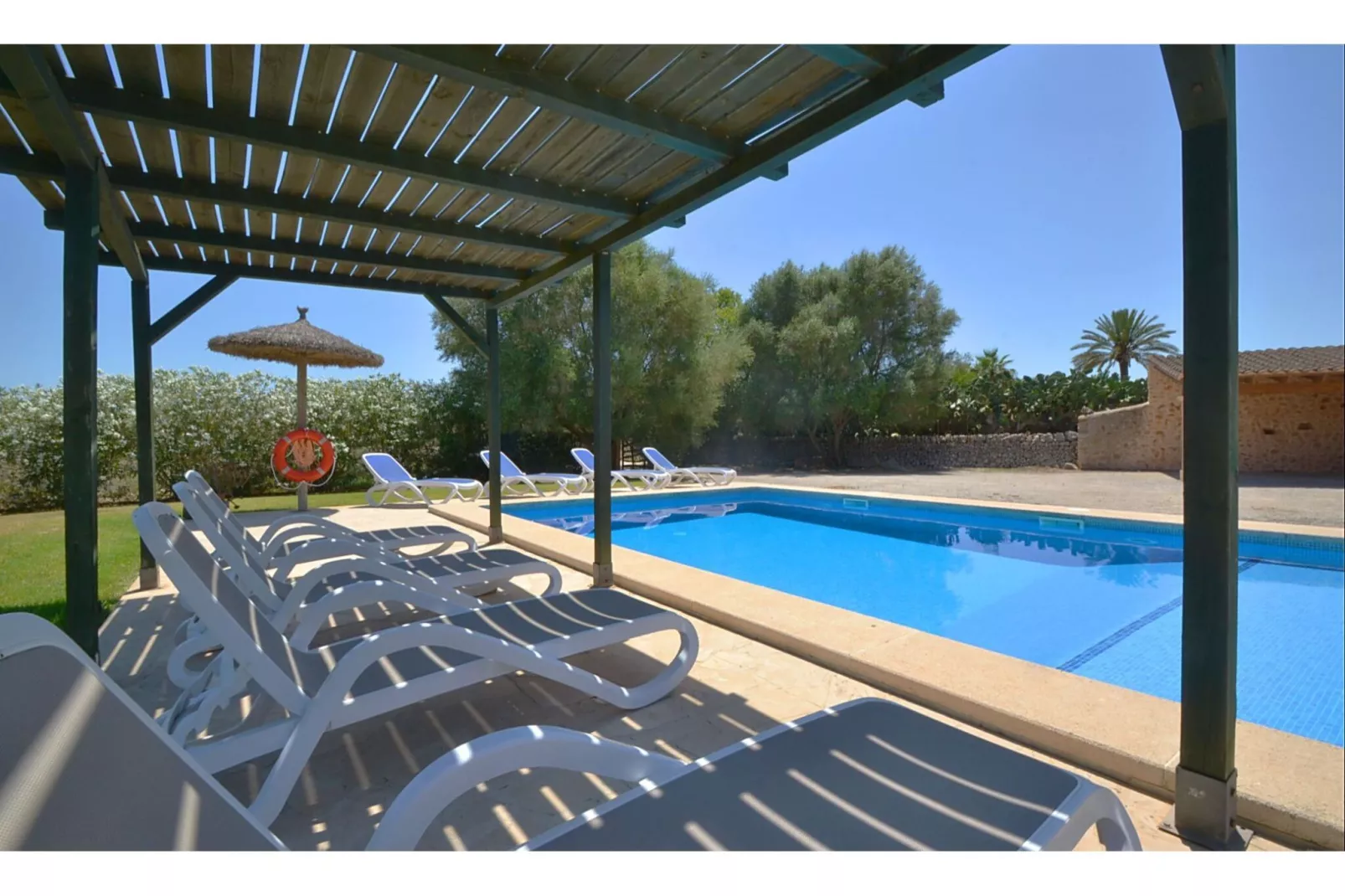 Xim Vell-Pool