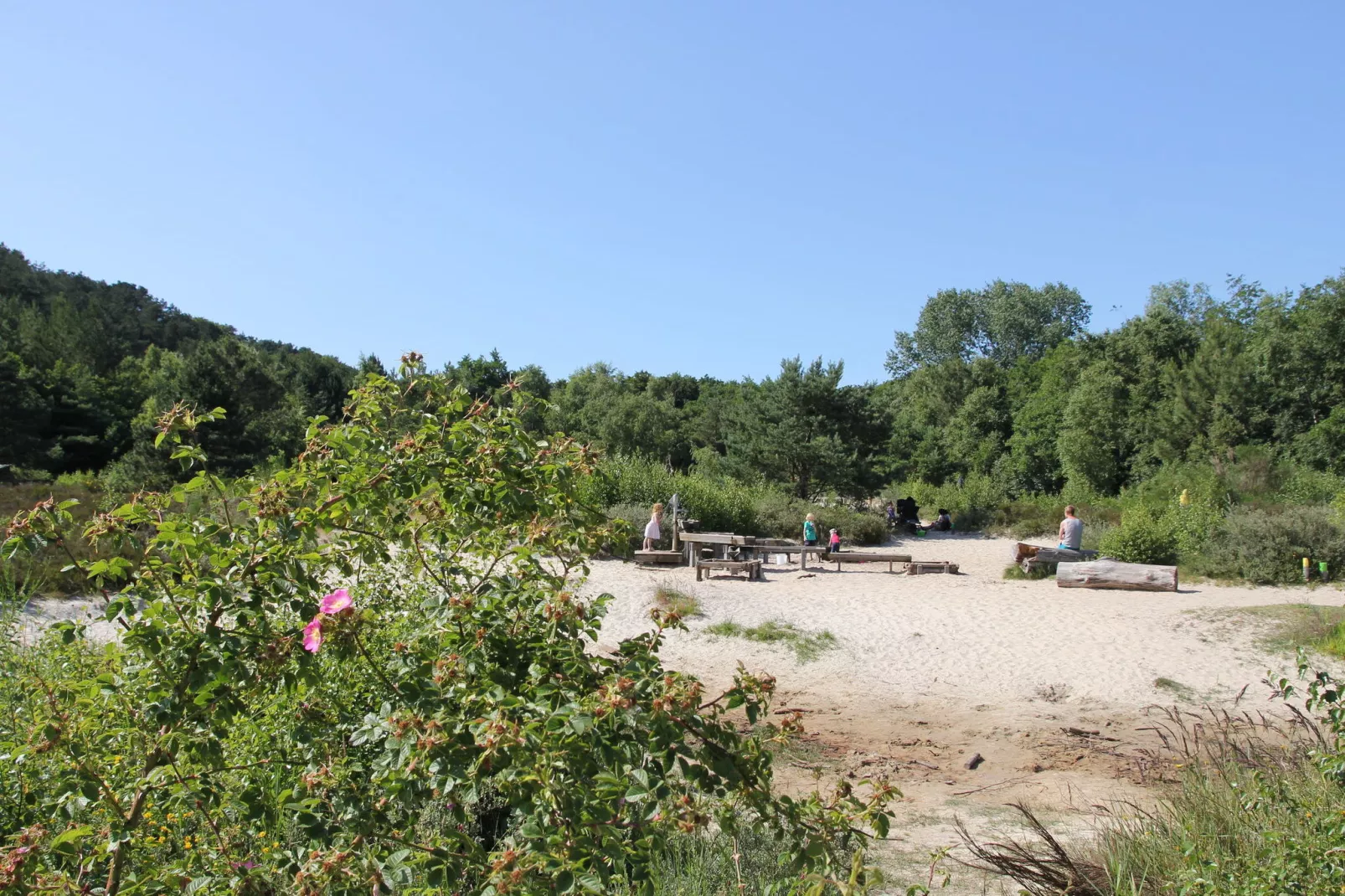 Scoreldame 6-persoons-Areas summer 20km