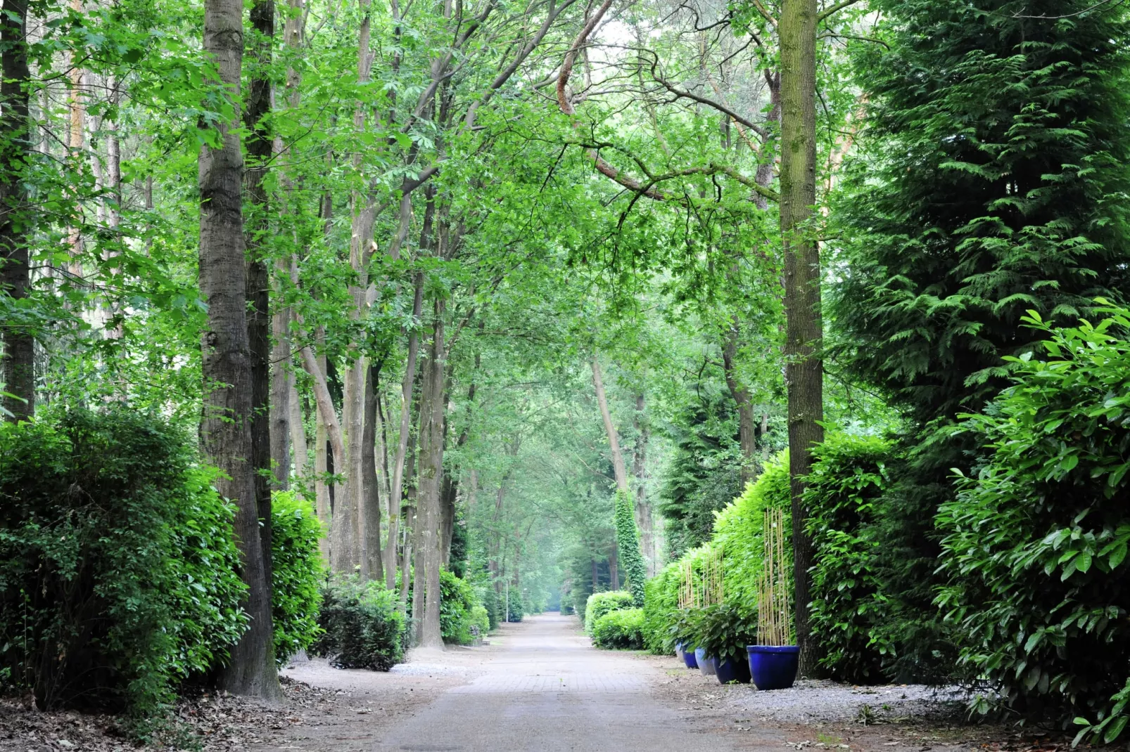 Parc de Kievit 5-Areas summer 1km