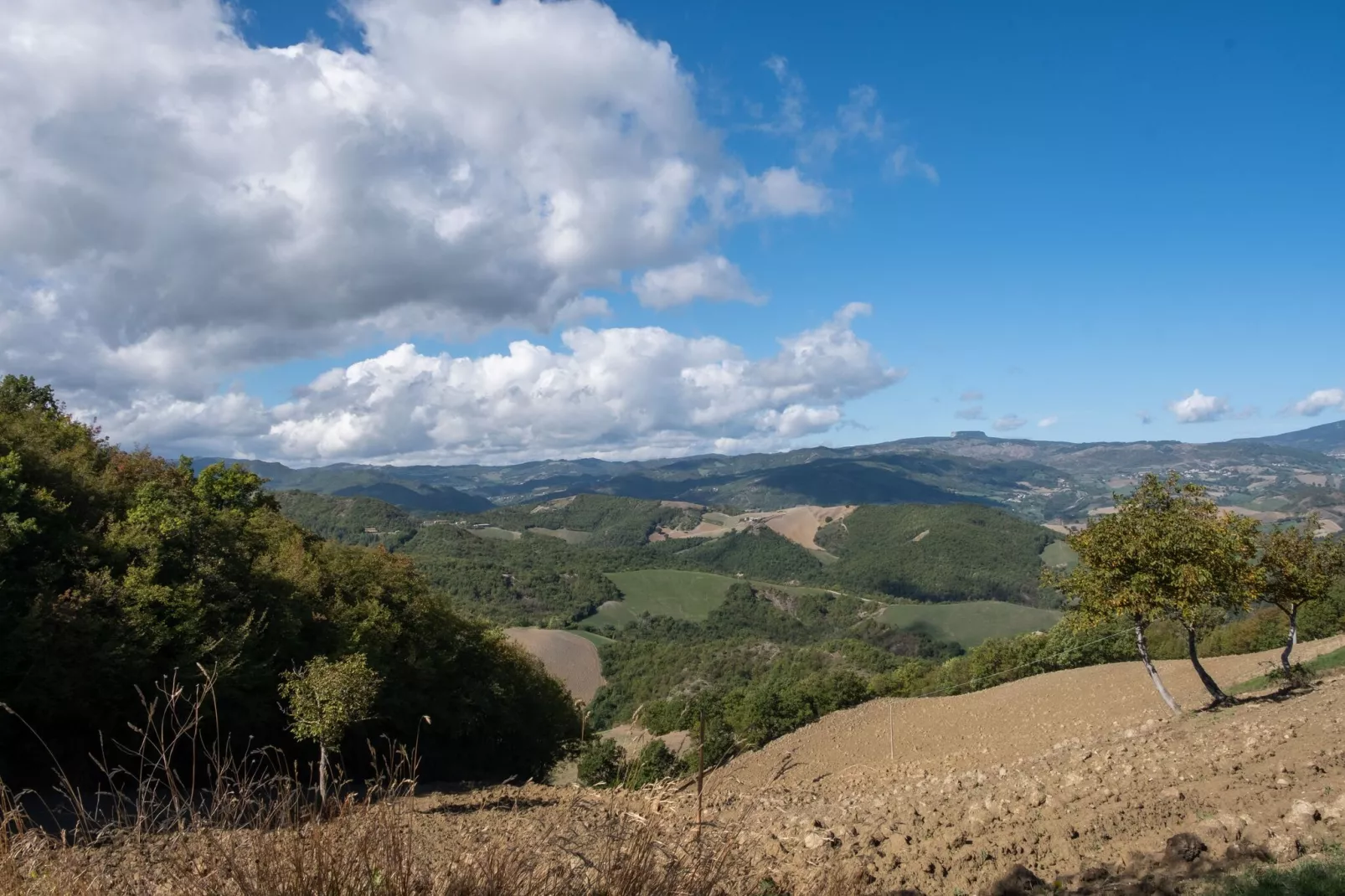 Borgo Tre-Gebiete Sommer 5 km