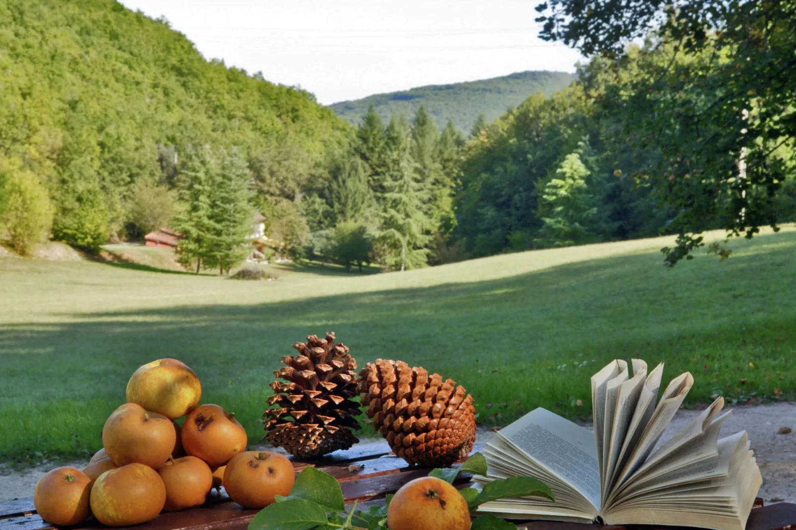 Font Neuve-Gardens summer