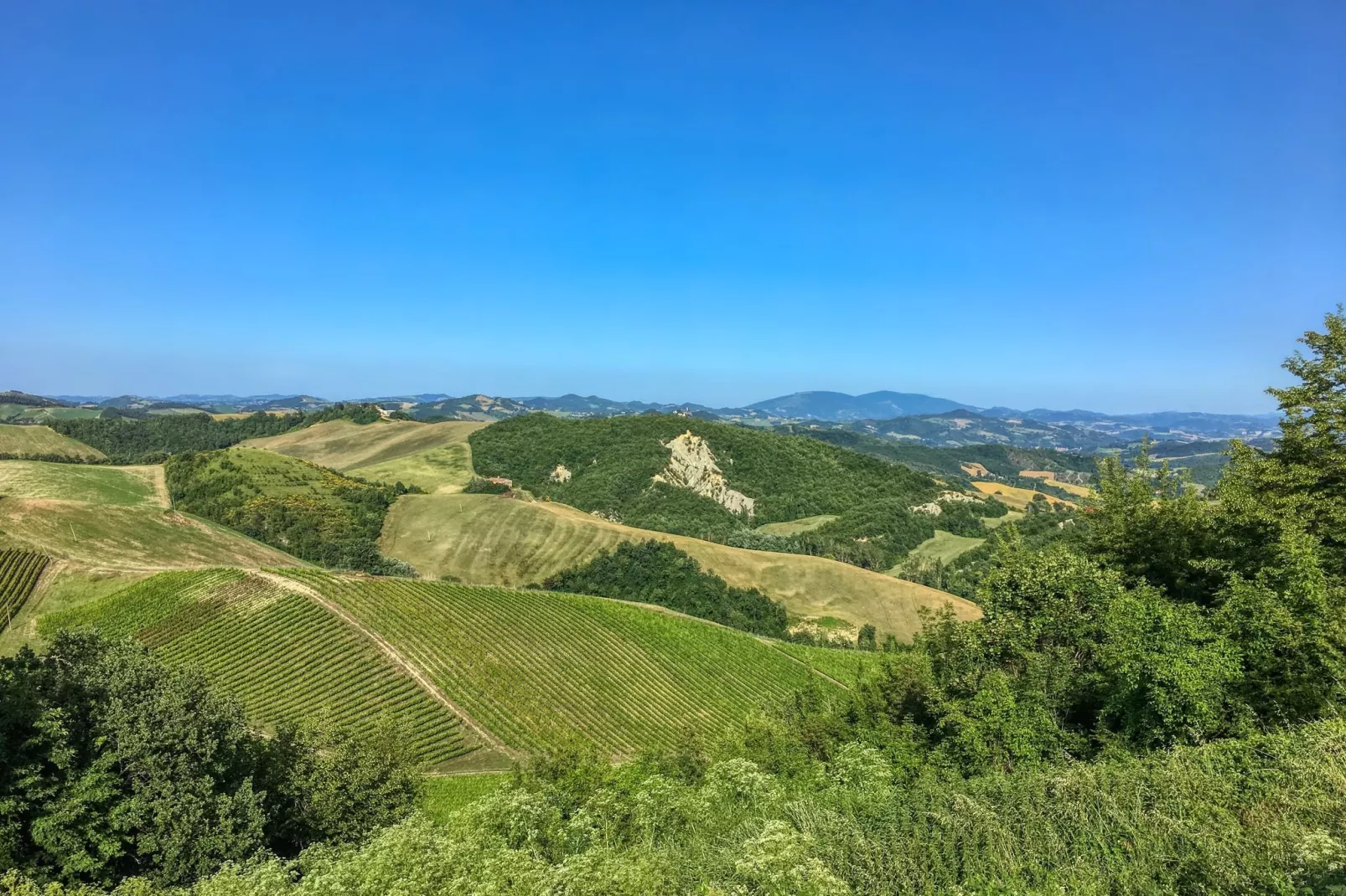 Borgo Quattro-Areas summer 5km