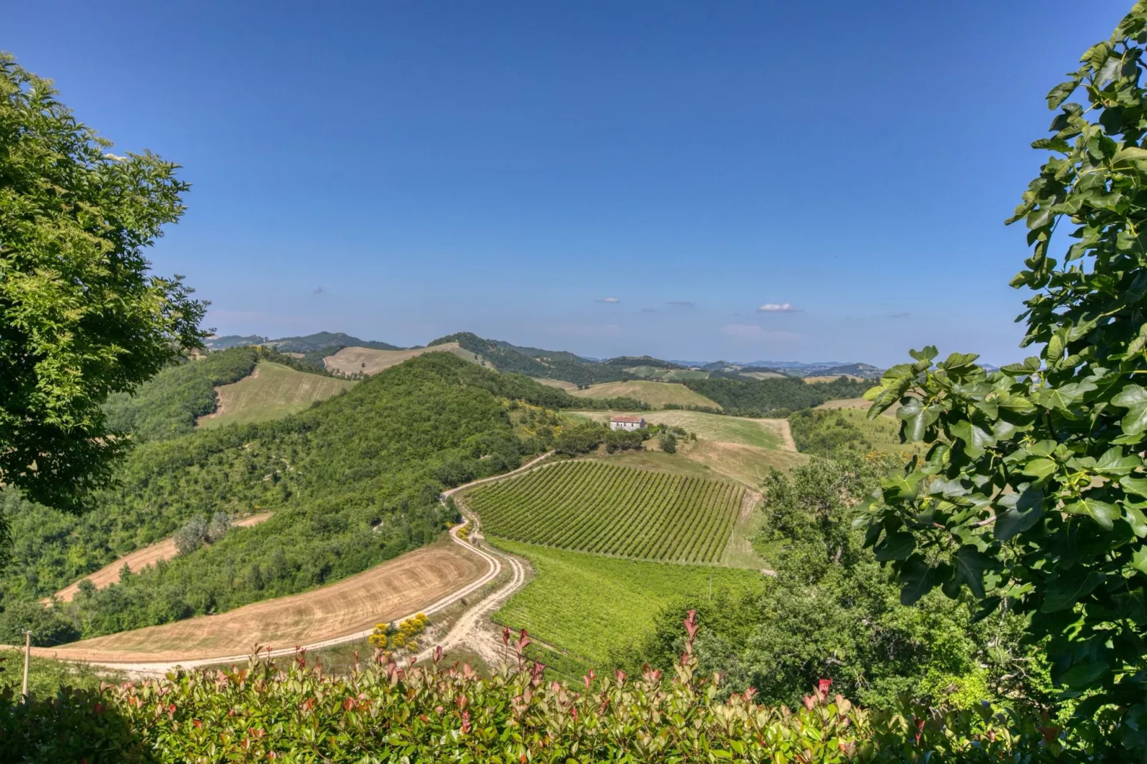 Borgo Quattro-Areas summer 20km