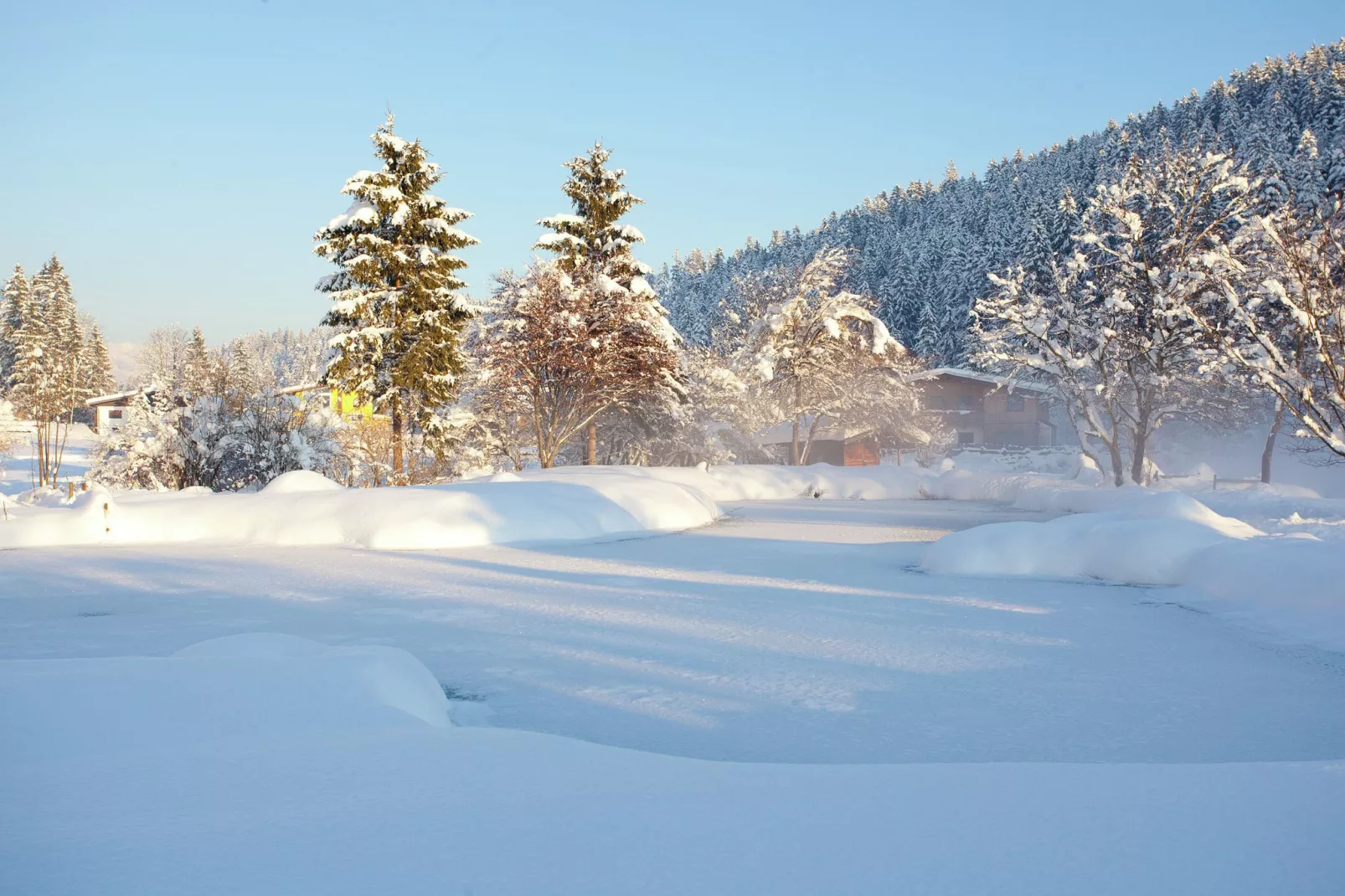 Forellenhof-Garden winter