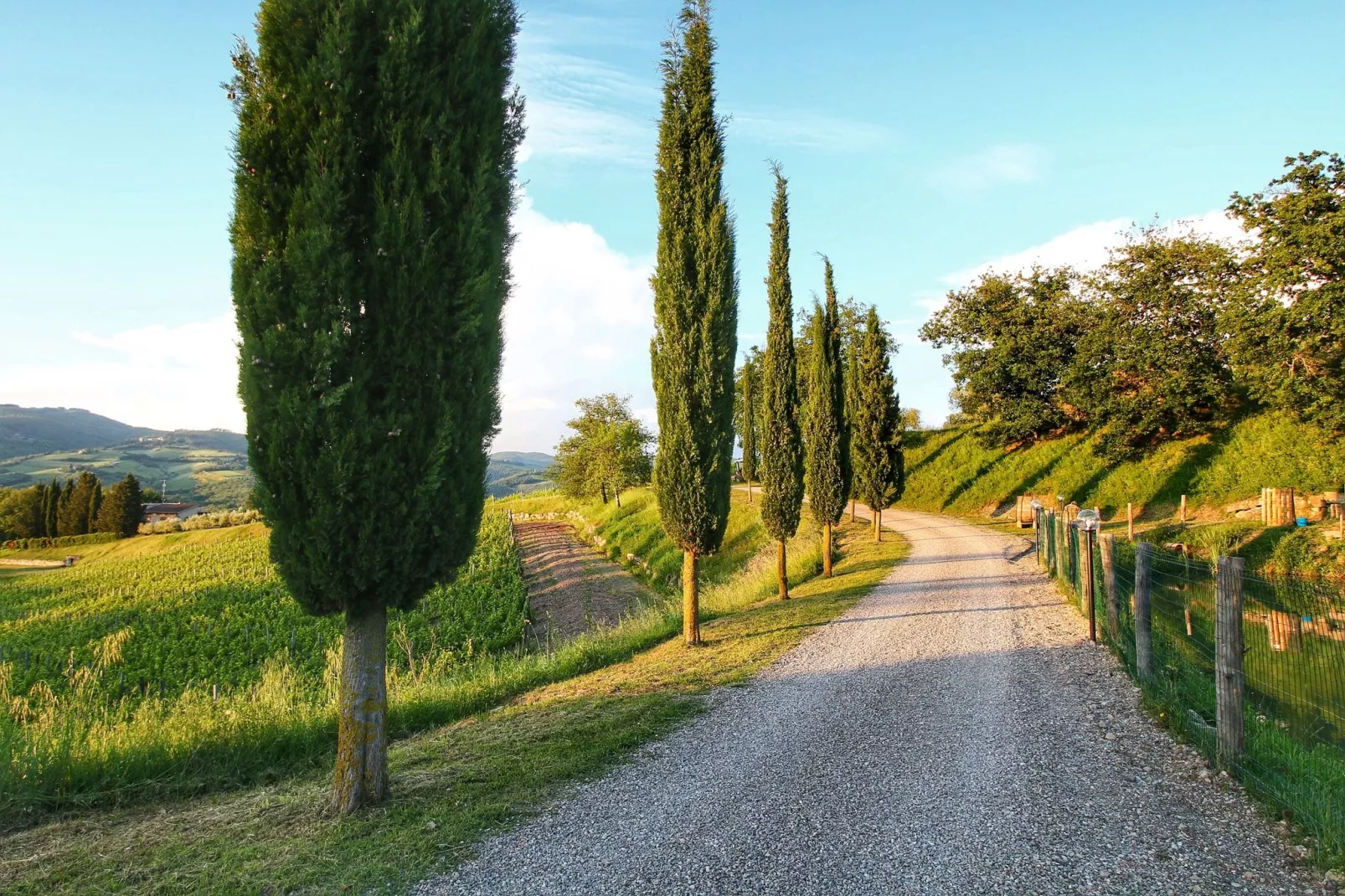 Villa Ulivo-Gebiete Sommer 1 km