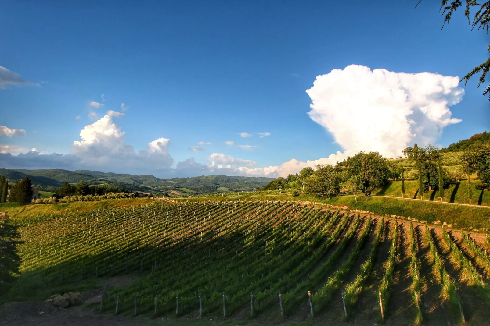 Villa Ulivo-Gebiete Sommer 20 km