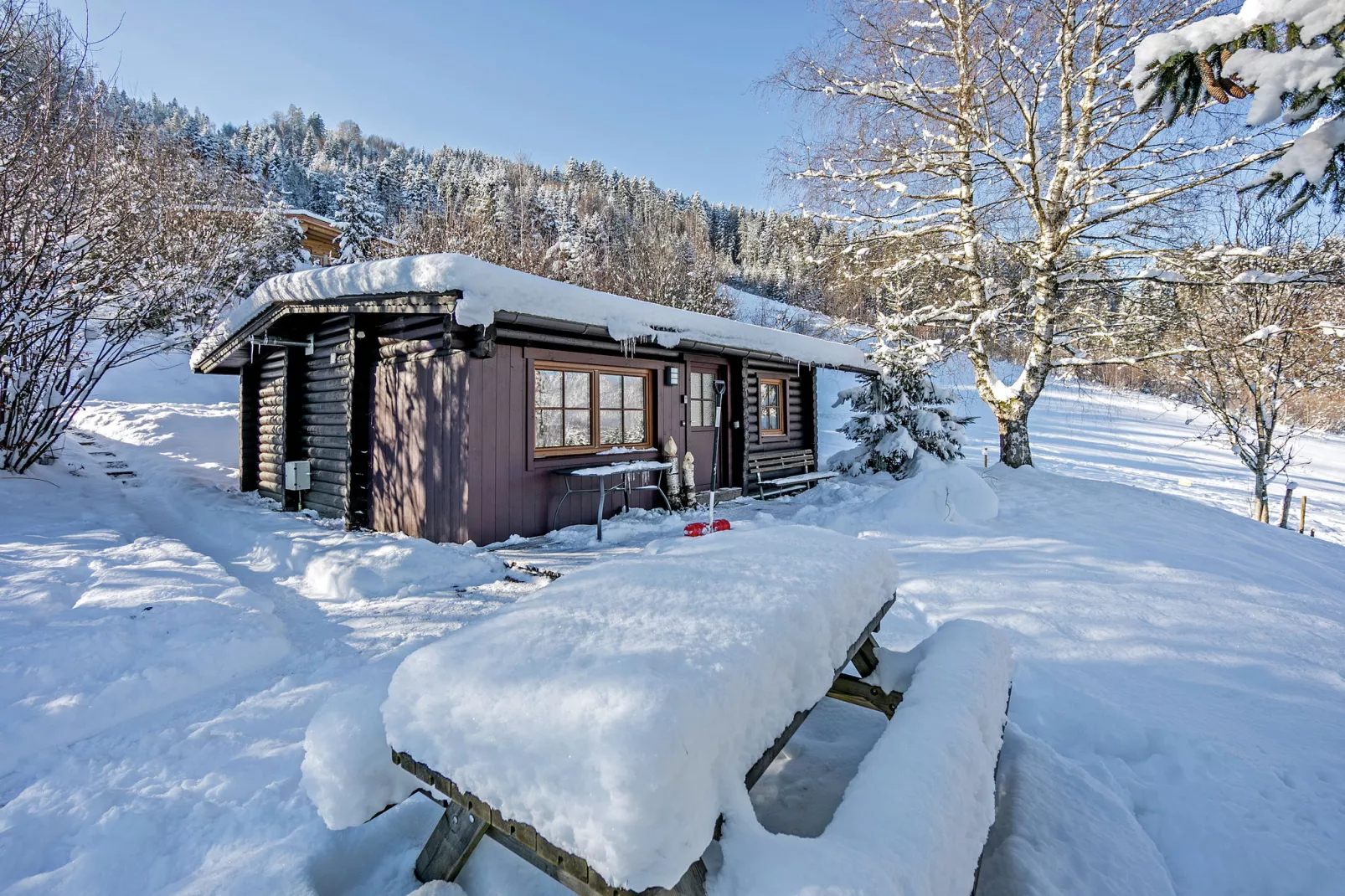 Chalet im Brixental I-Exterior winter