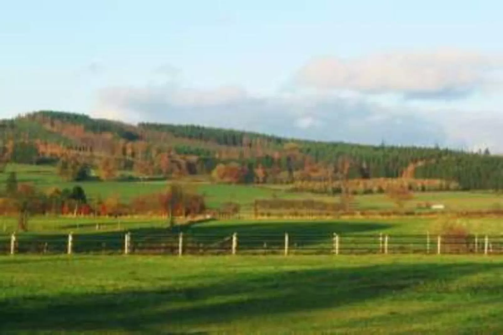 Les Poiriers-Areas summer 5km