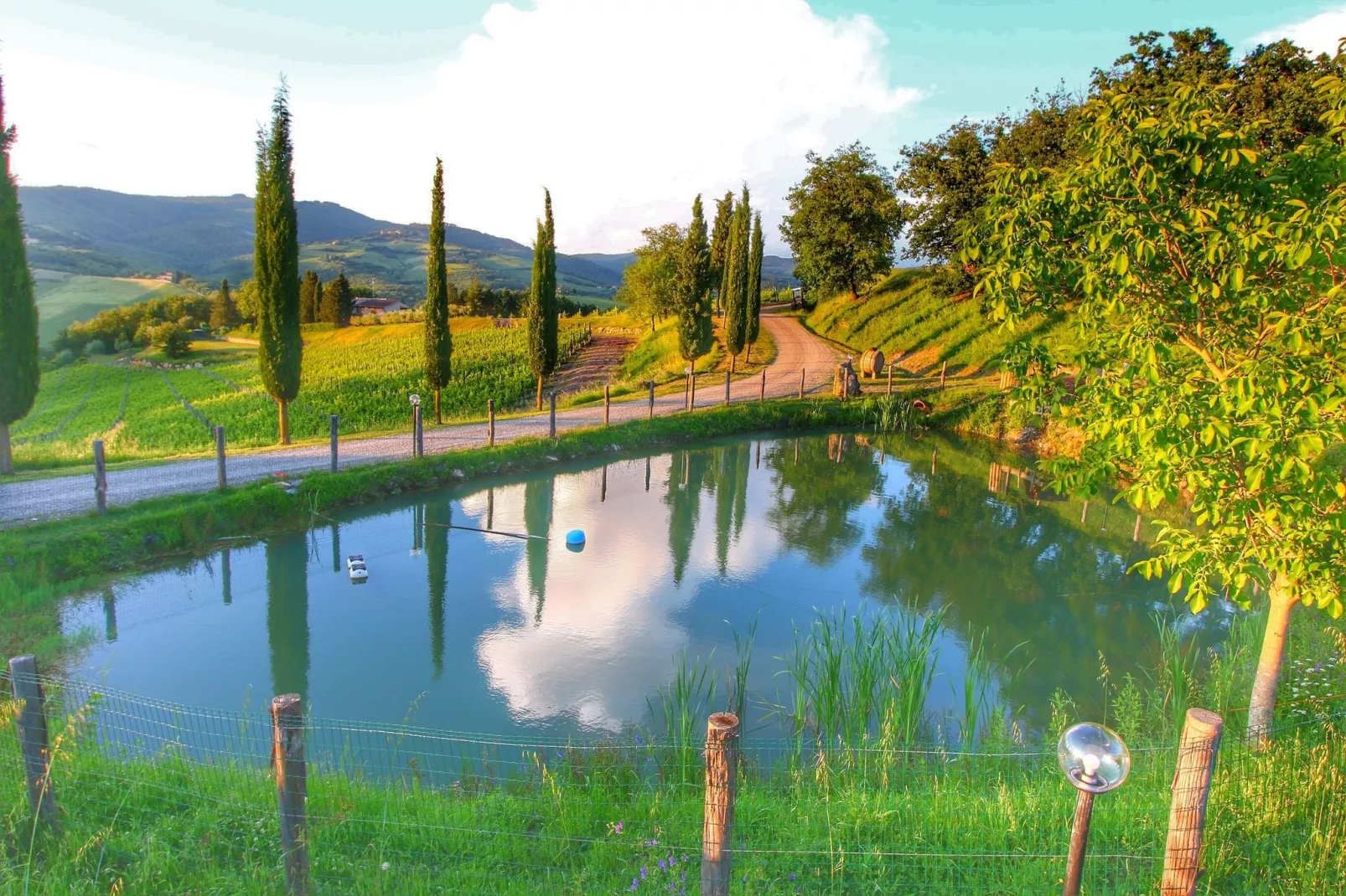 Limone-Areas summer 1km