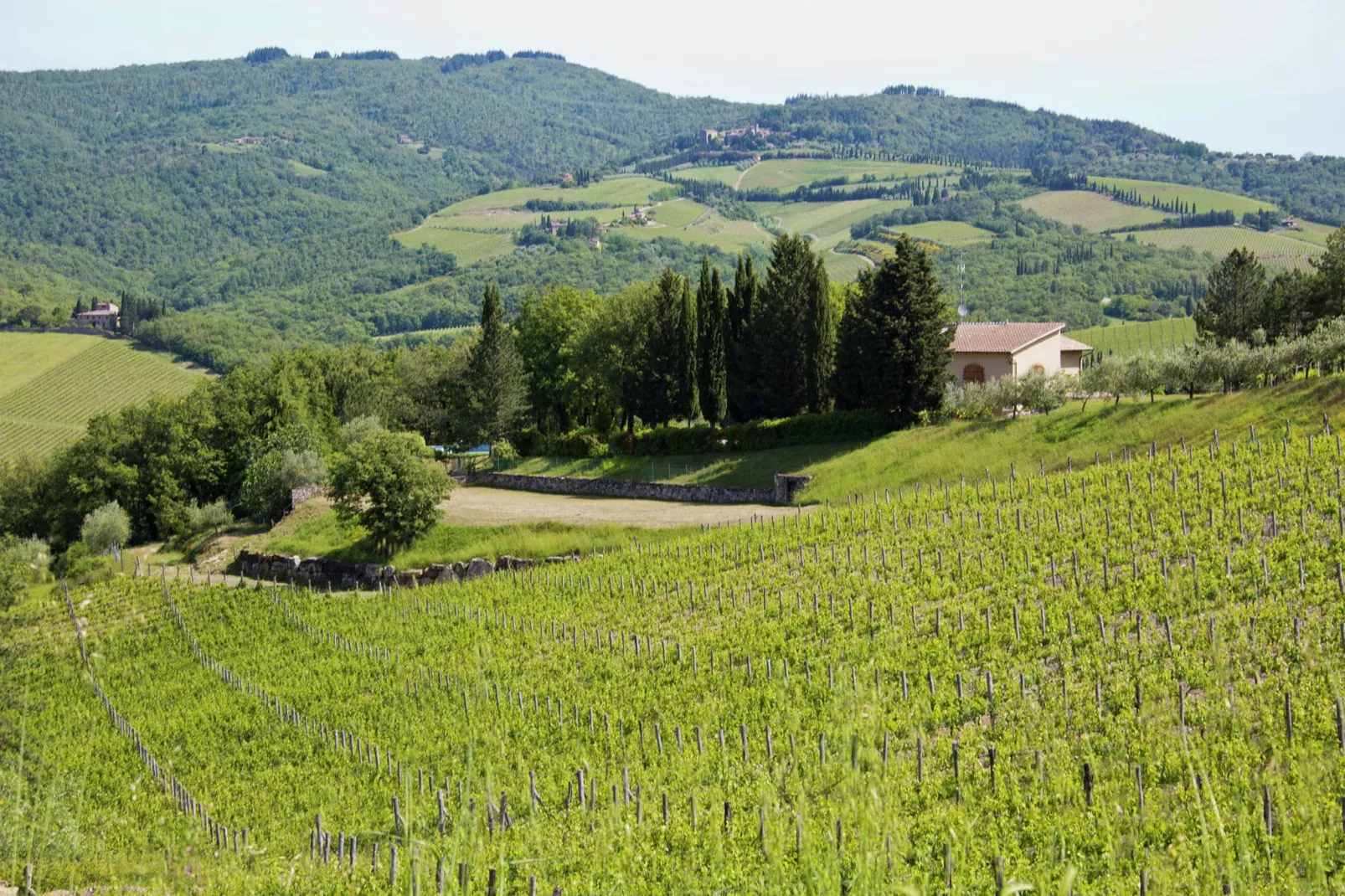 Limone-Areas summer 20km