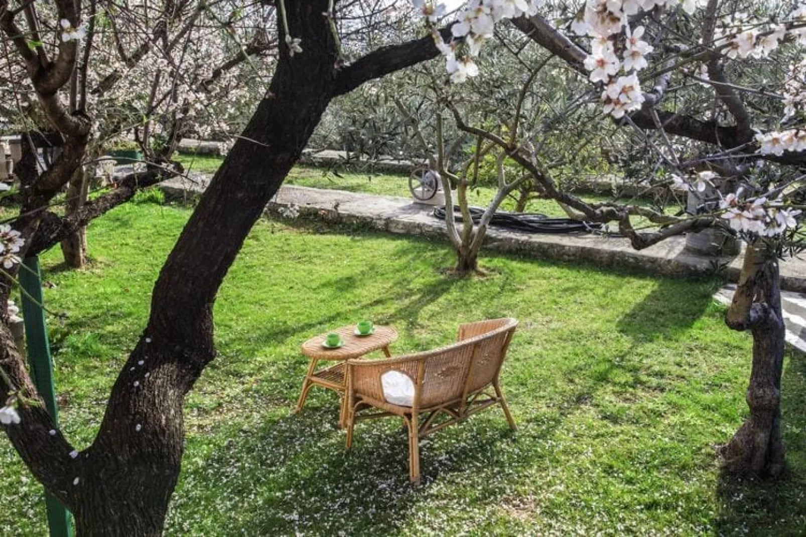 Haus Keti Šerka in Sumartin - 50 qm für 4 Pers-Gardens summer