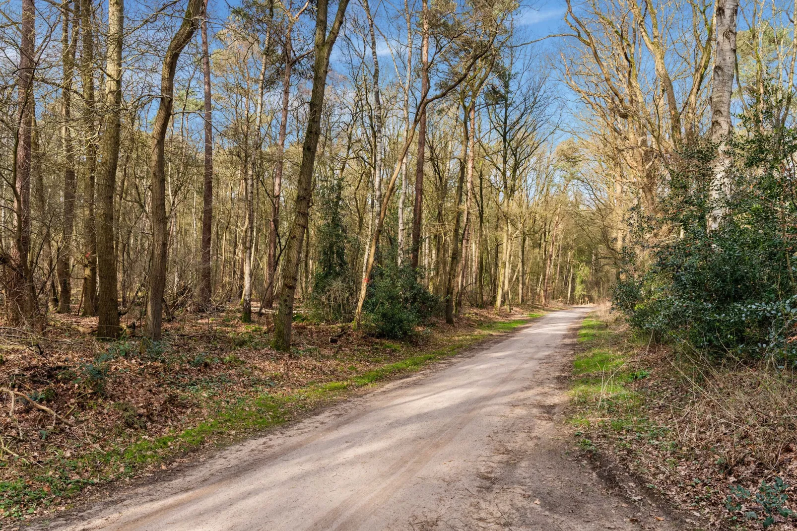 De Hooischuur in Hellendoorn-Areas summer 5km