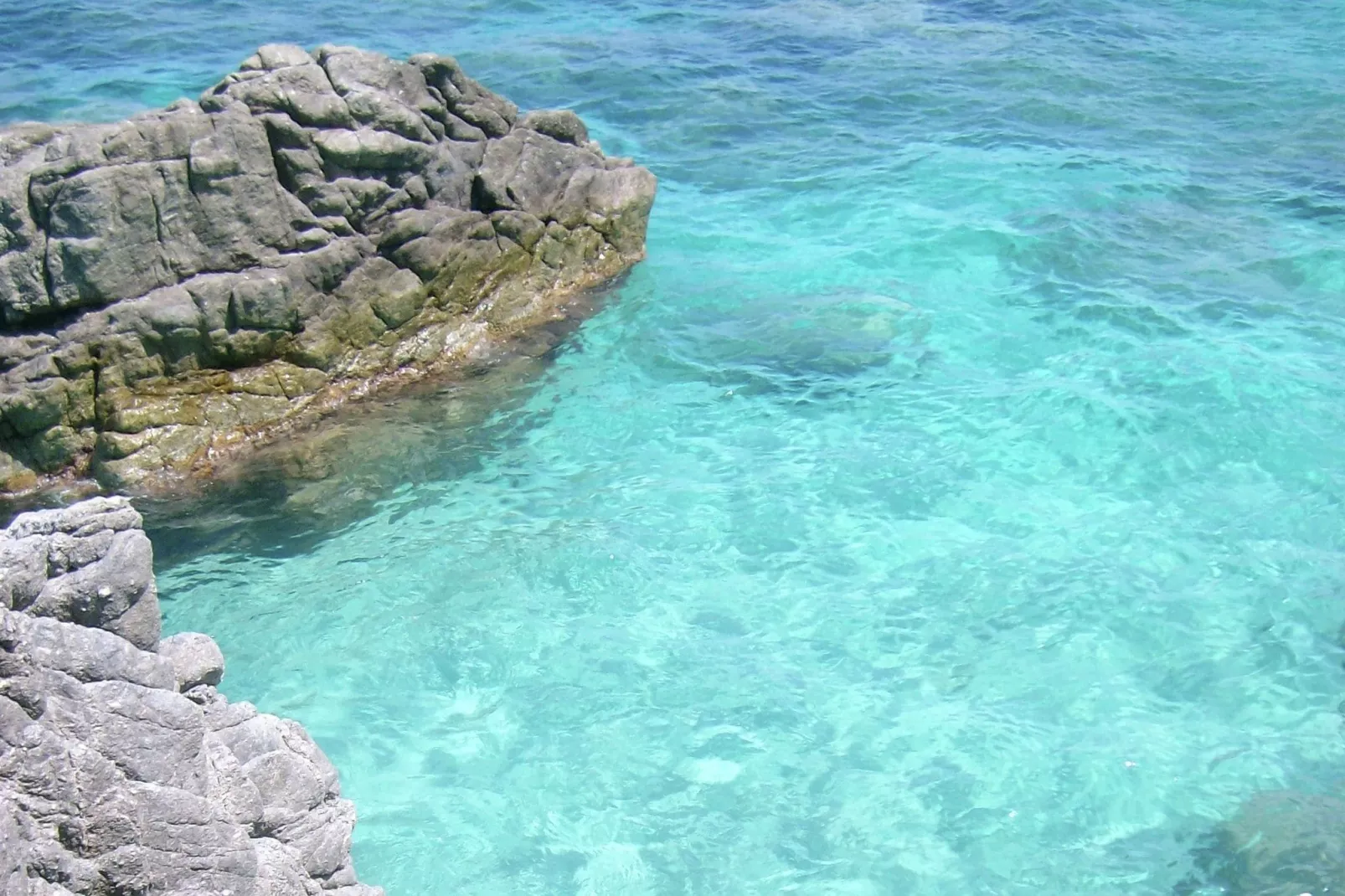 Flor-Areas summer 5km