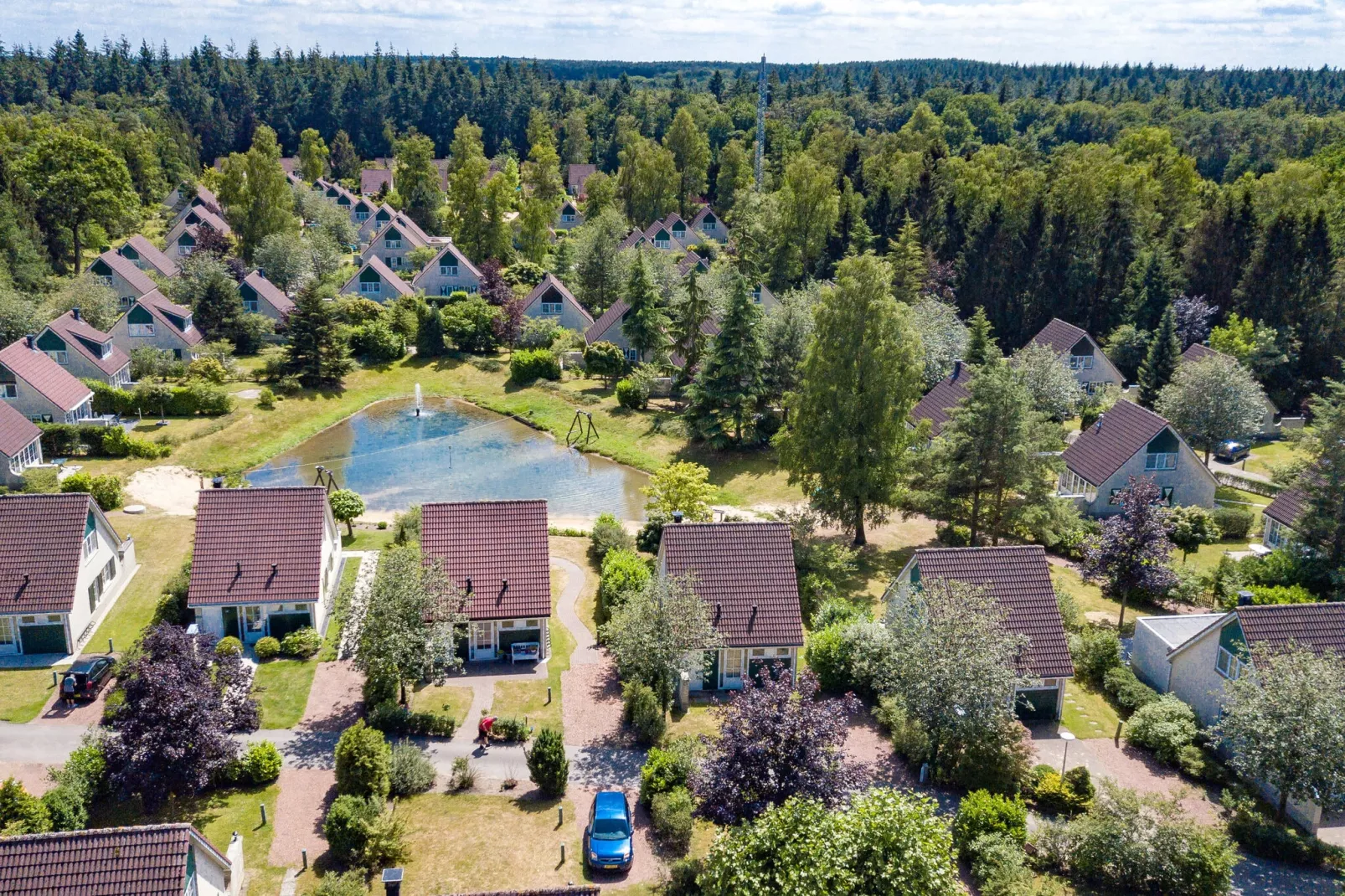 Vakantiepark Hellendoorn 1-Außenbereich Sommer