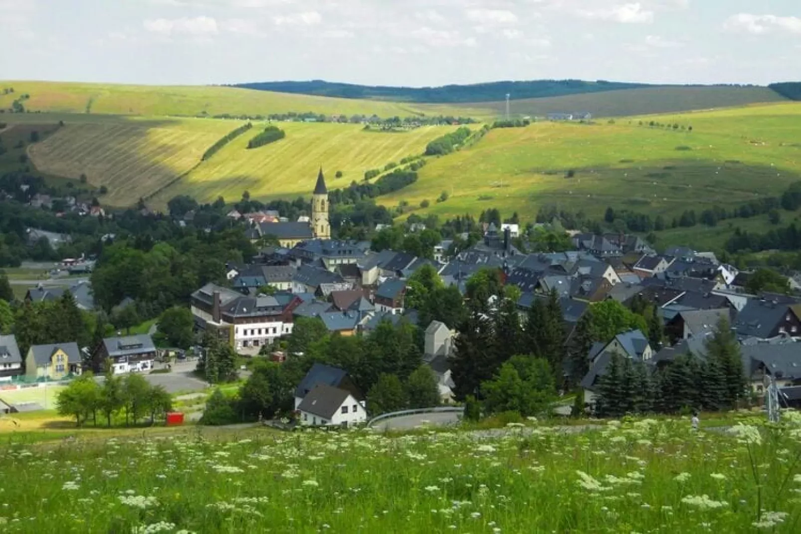 Ferienhaus Oberwiesenthal-Areas summer 1km