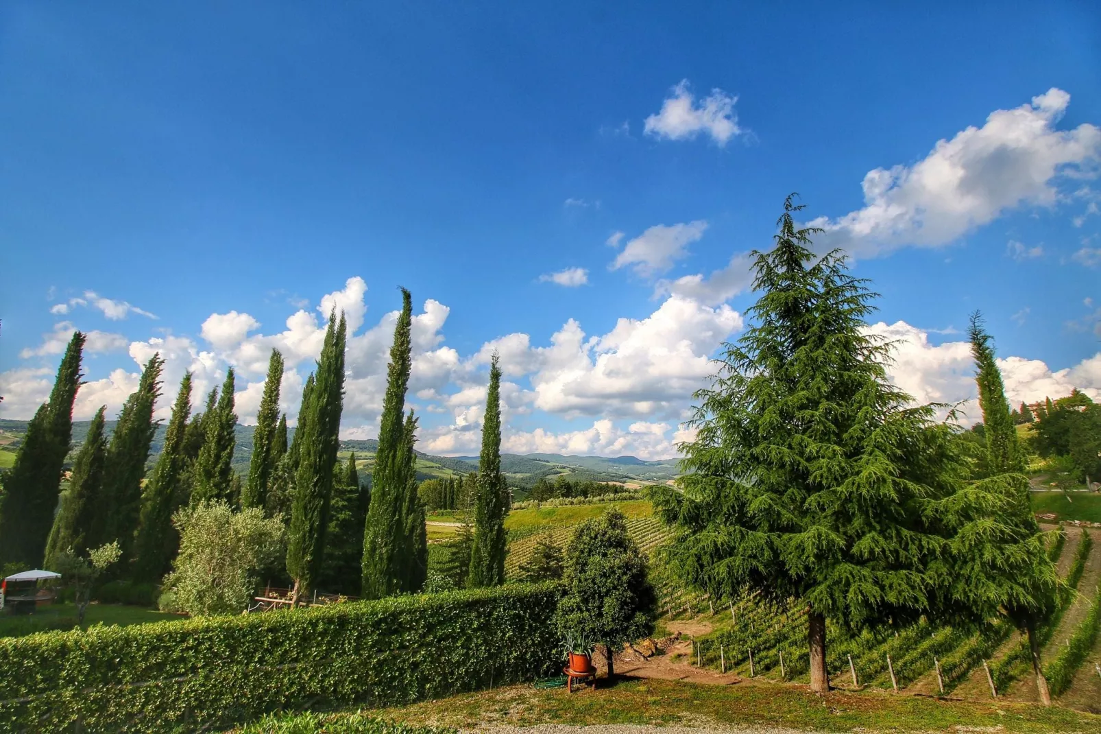 Uva-Areas summer 1km