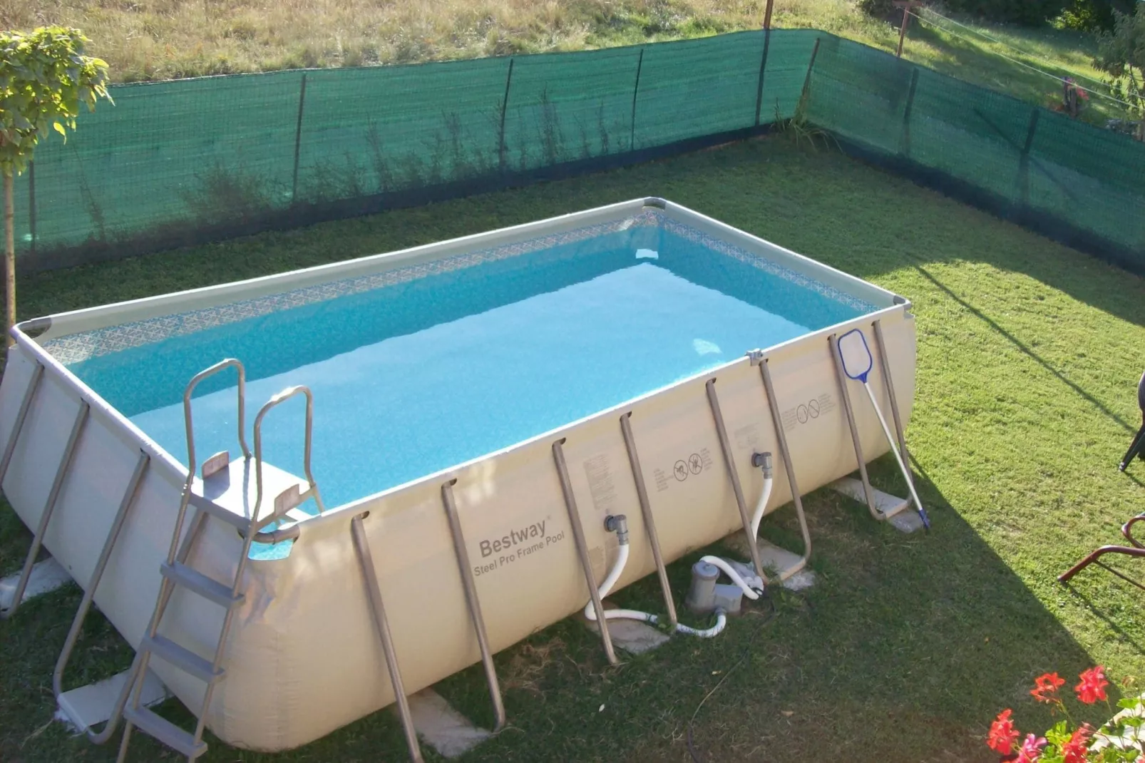Genio-Pool