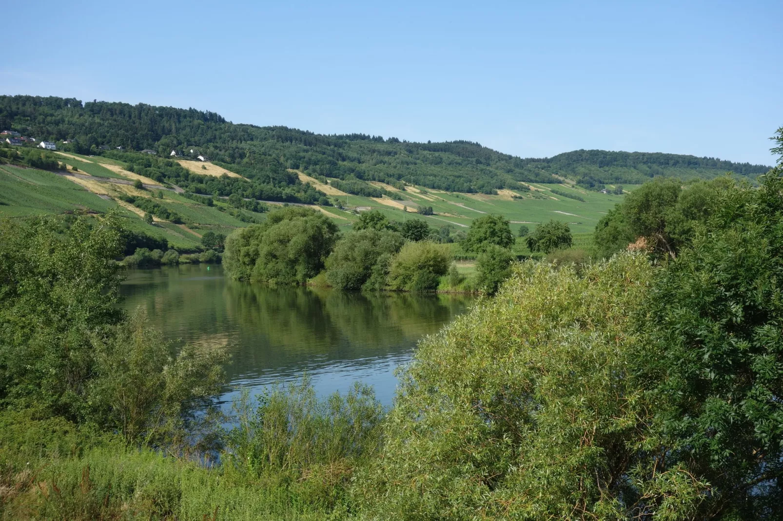 Wald-Areas summer 5km