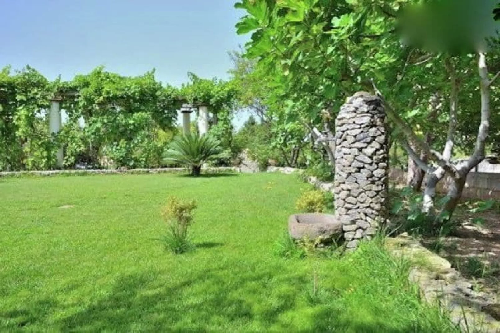 Zaccano-Gardens summer