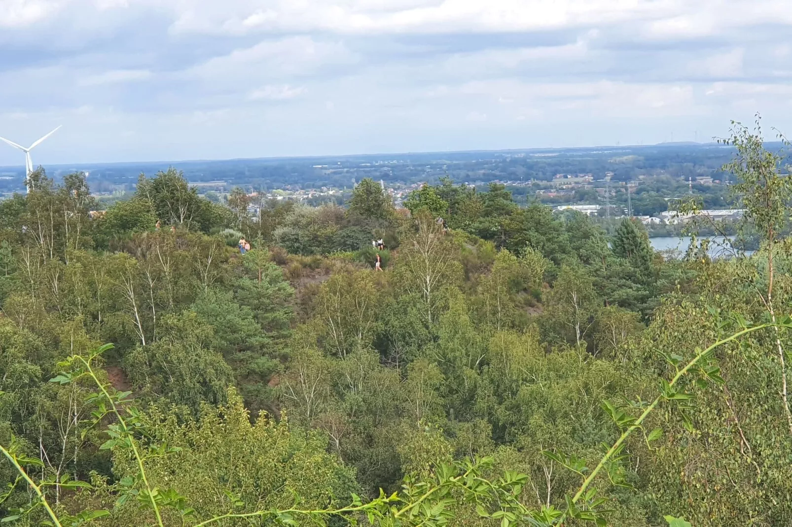 Het Hertenbos-Areas summer 20km