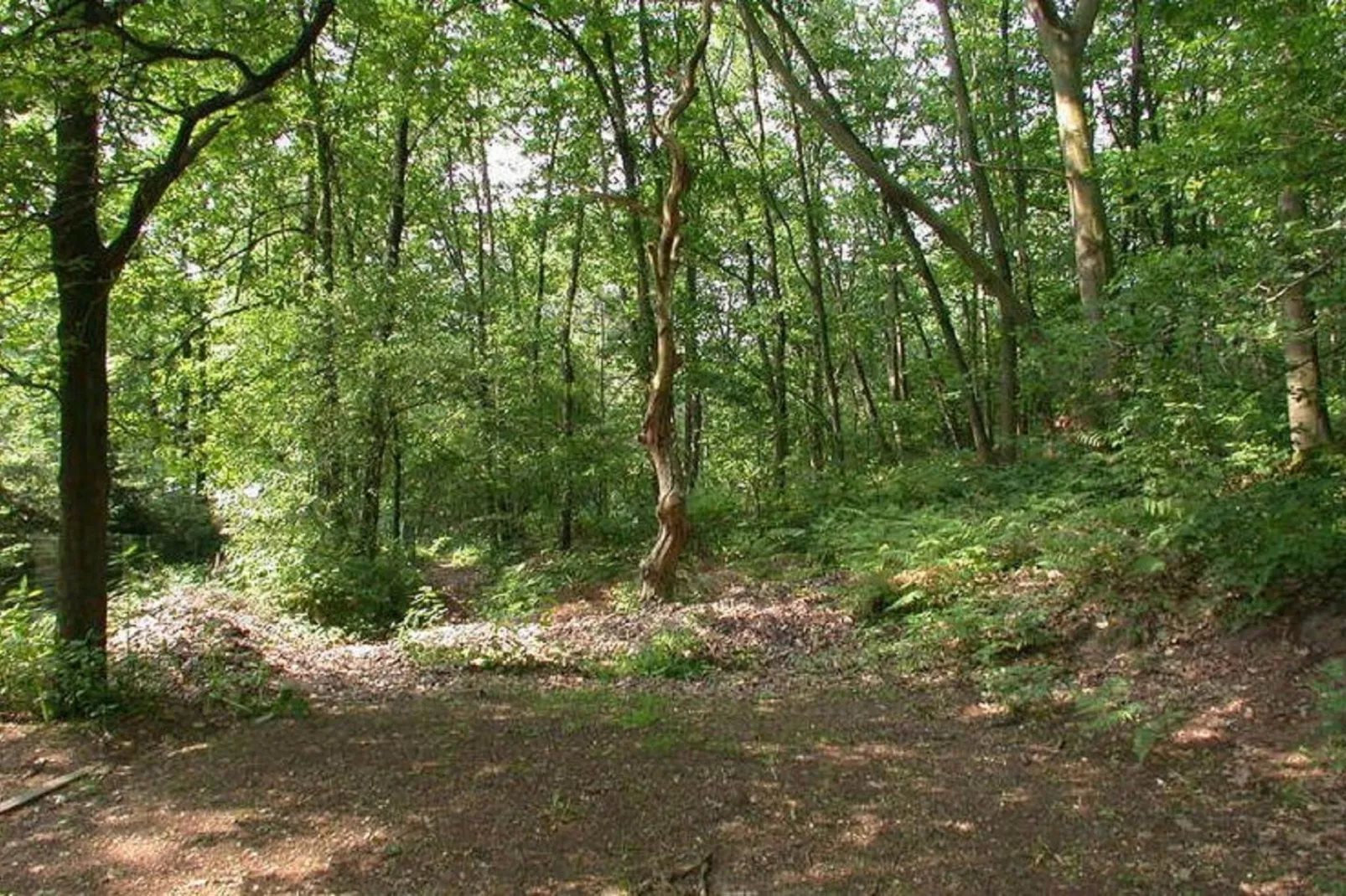 Het Hertenbos-Areas summer 1km