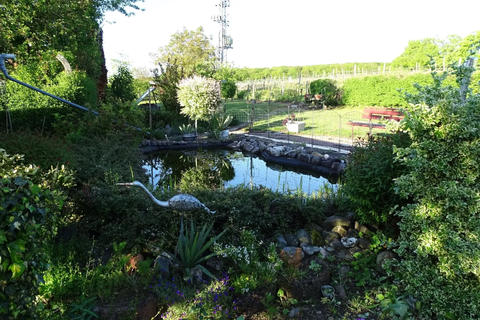 Ferienwohnung Rosenberg-Gardens summer