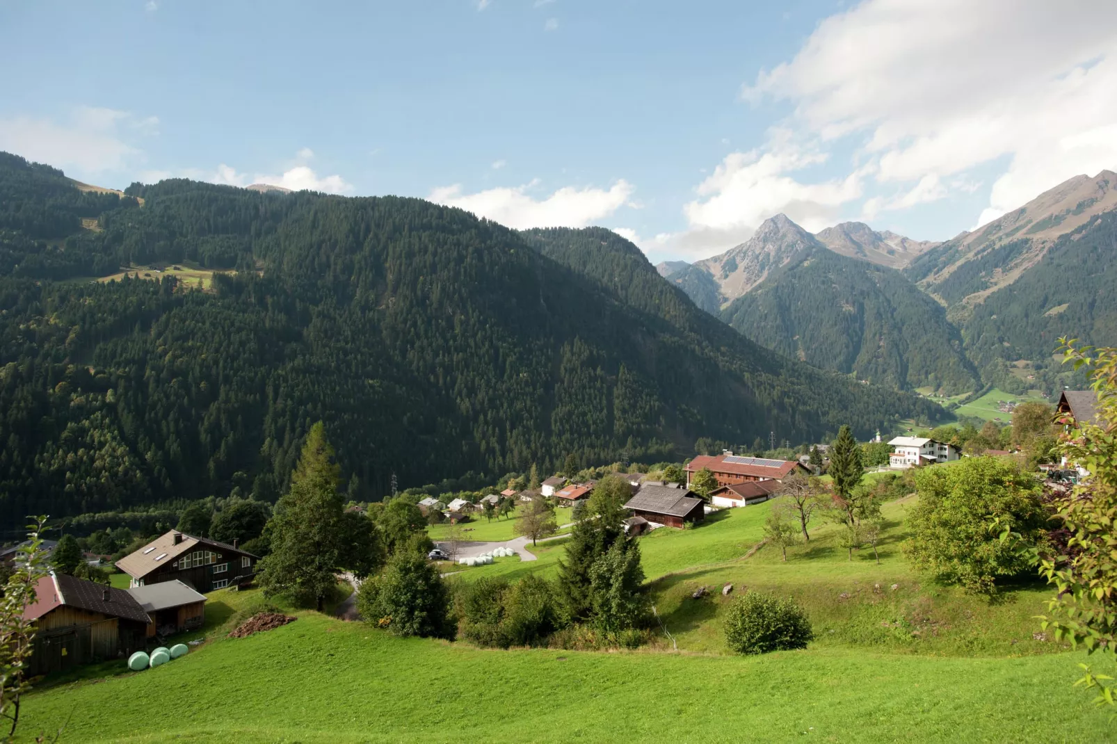 Bials-View summer