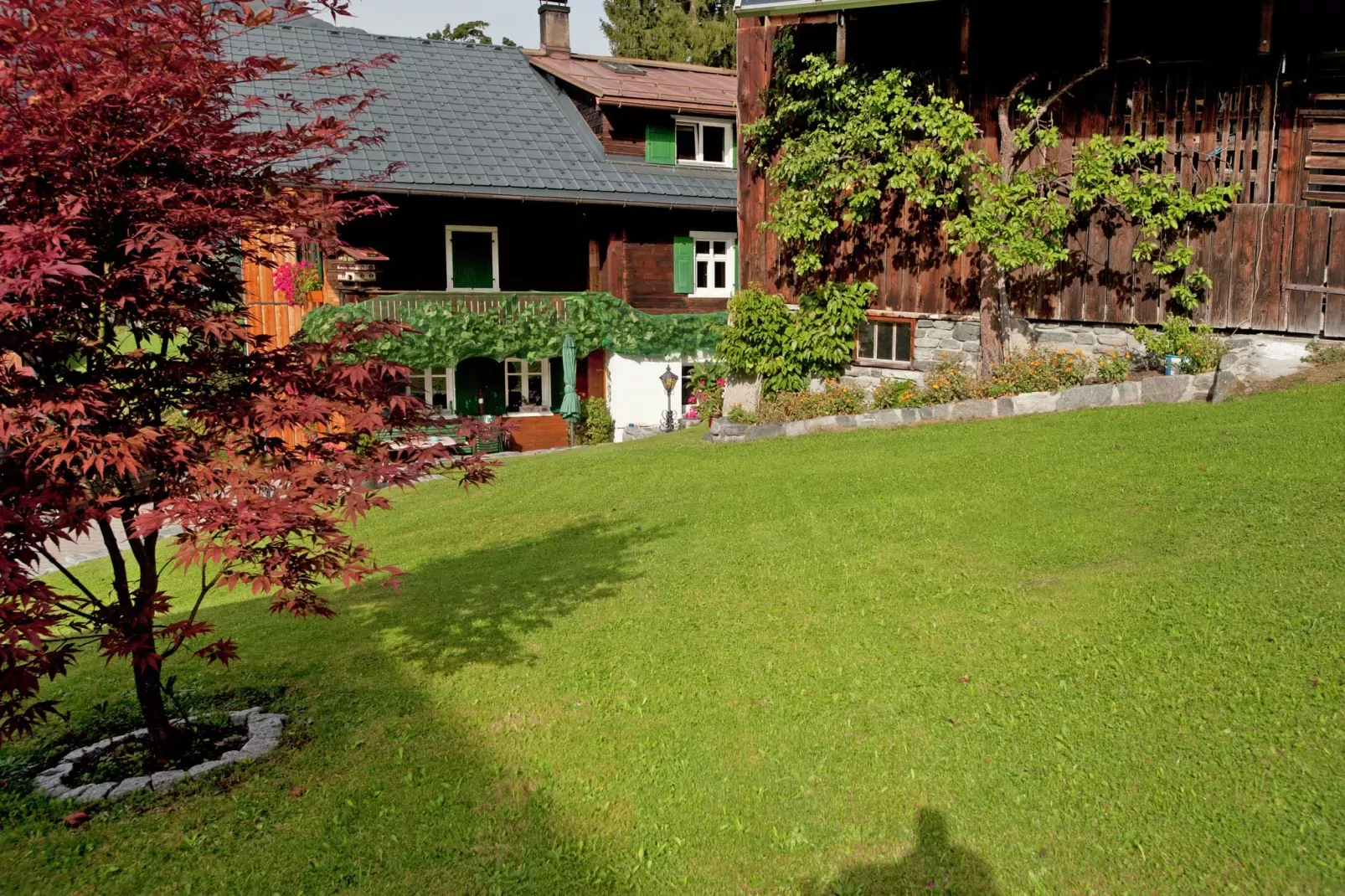 Bials-Gardens summer