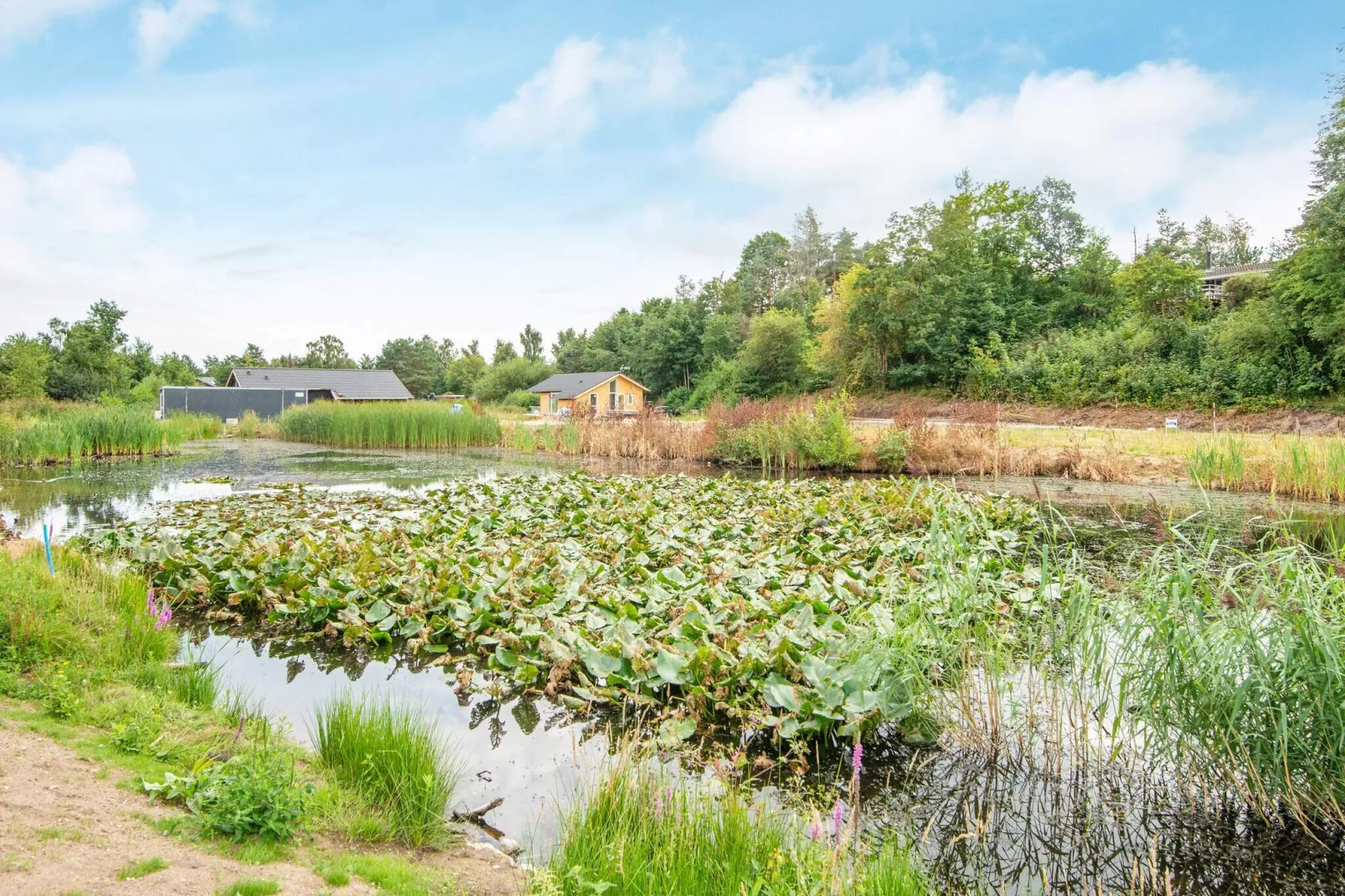 14 Personen Ferienhaus in Ebeltoft-By Traum-Wasserblick