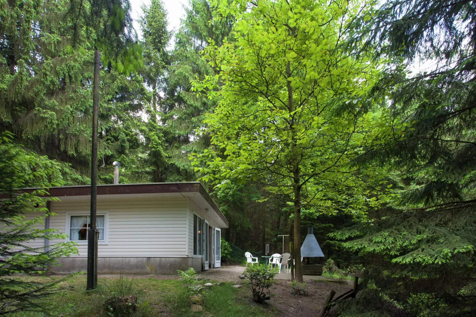 Boshuis het Eekhoorntje-Exterior summer