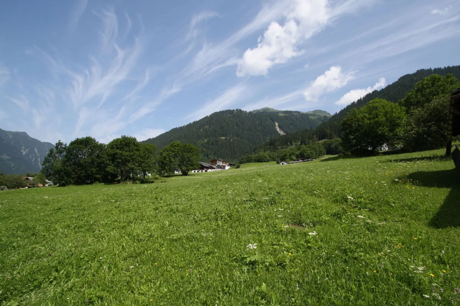 Burger-View summer