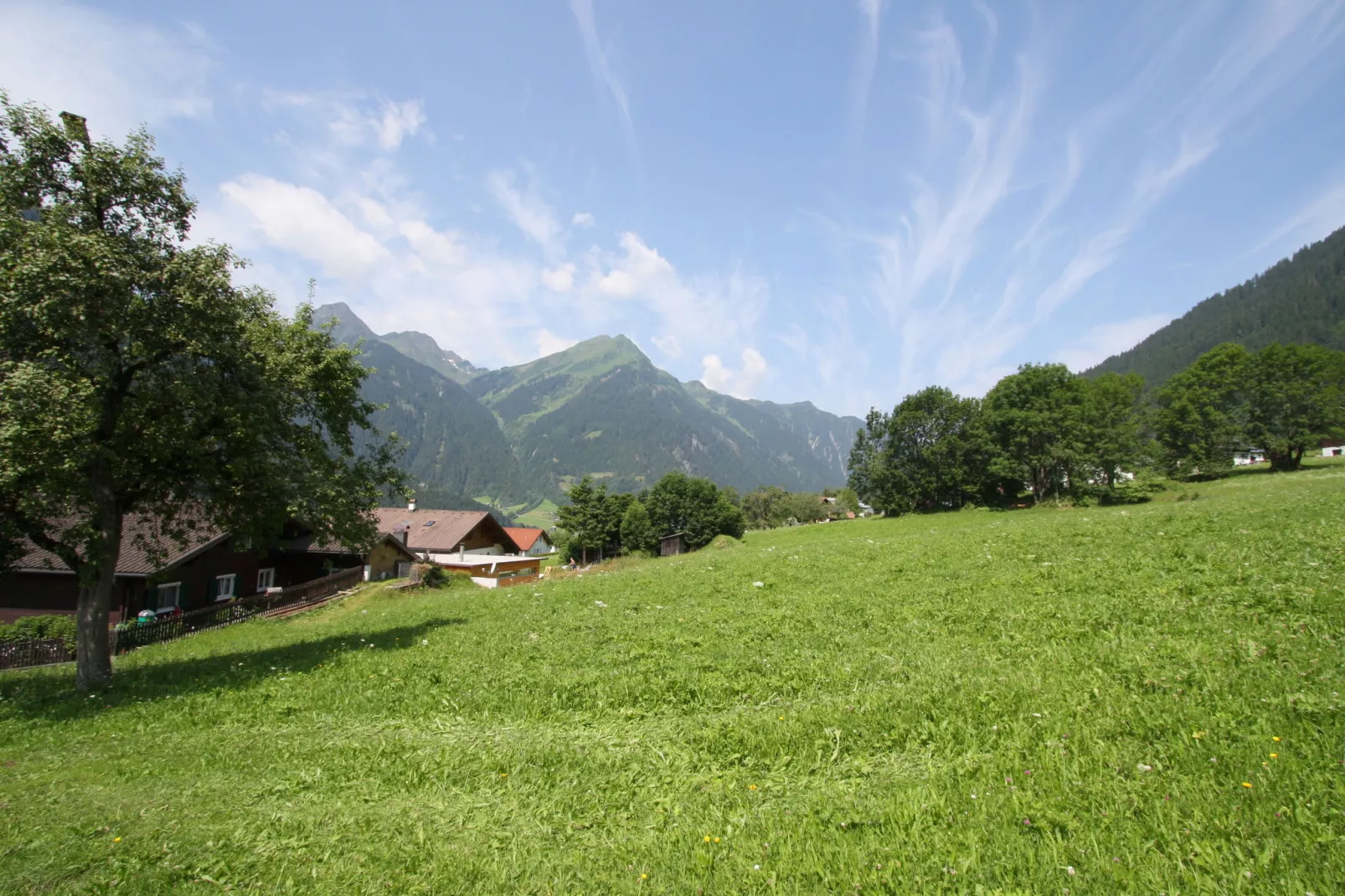 Burger-View summer