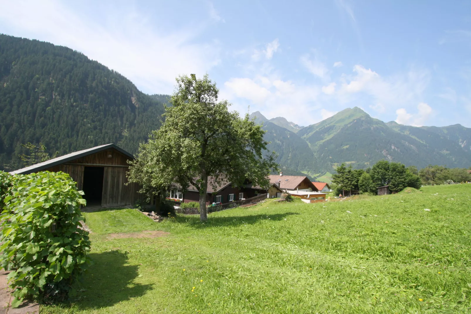 Burger-Areas summer 1km