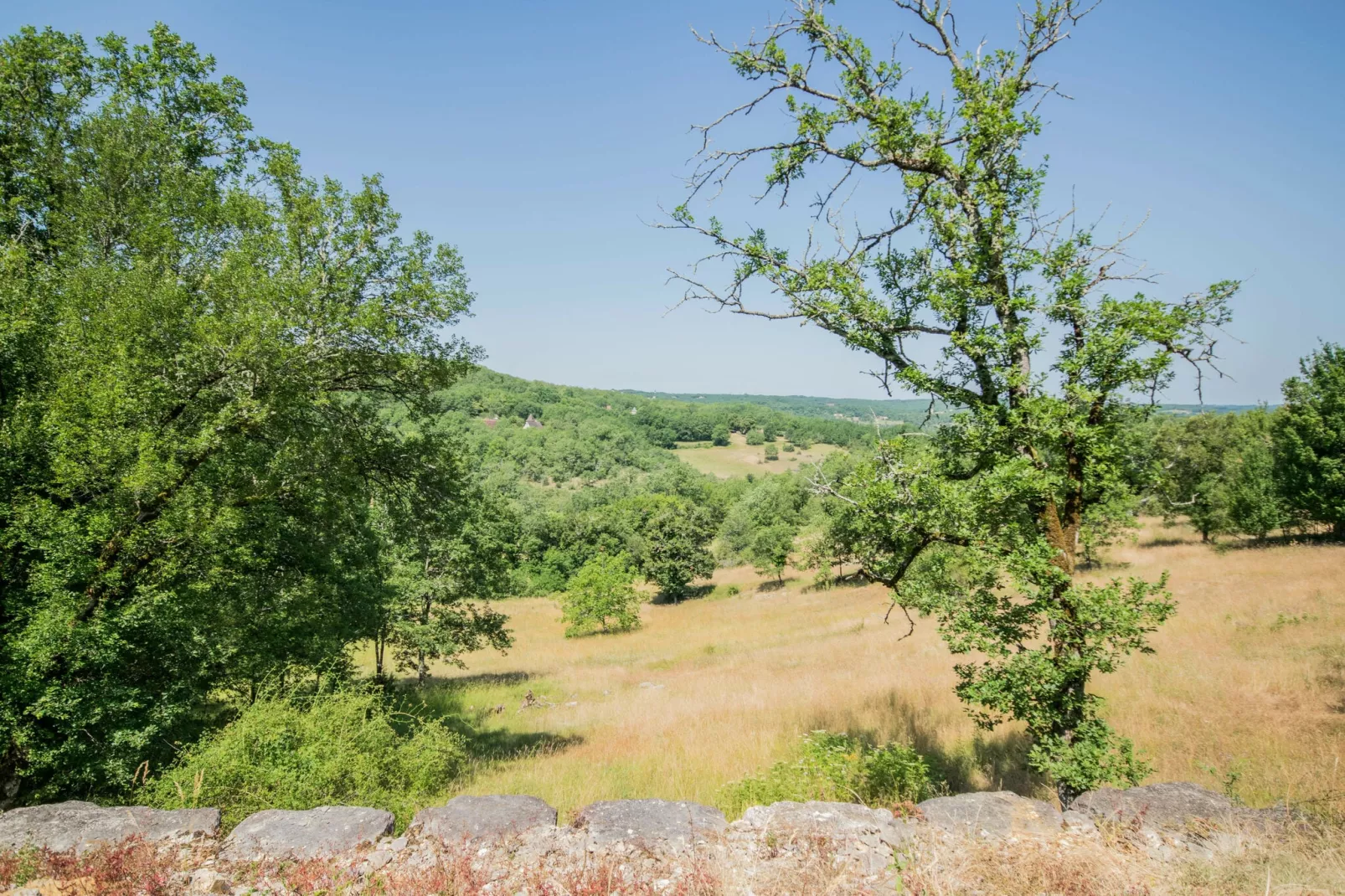 Maison Mayrac-Vue d'été