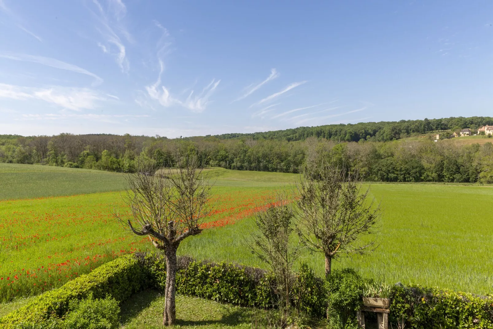 Tournesol-Areas summer 5km