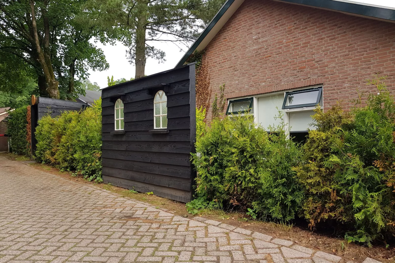 Veluwse Bosuil-Exterior summer