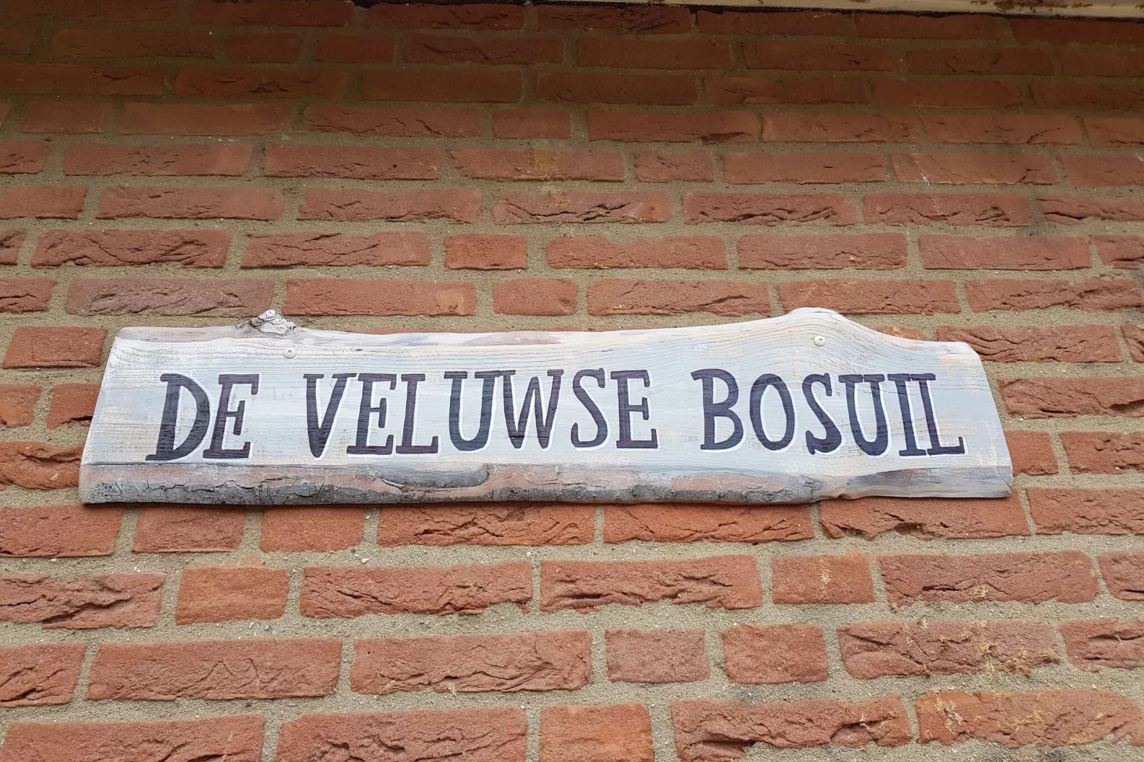 Veluwse Bosuil-Exterior summer