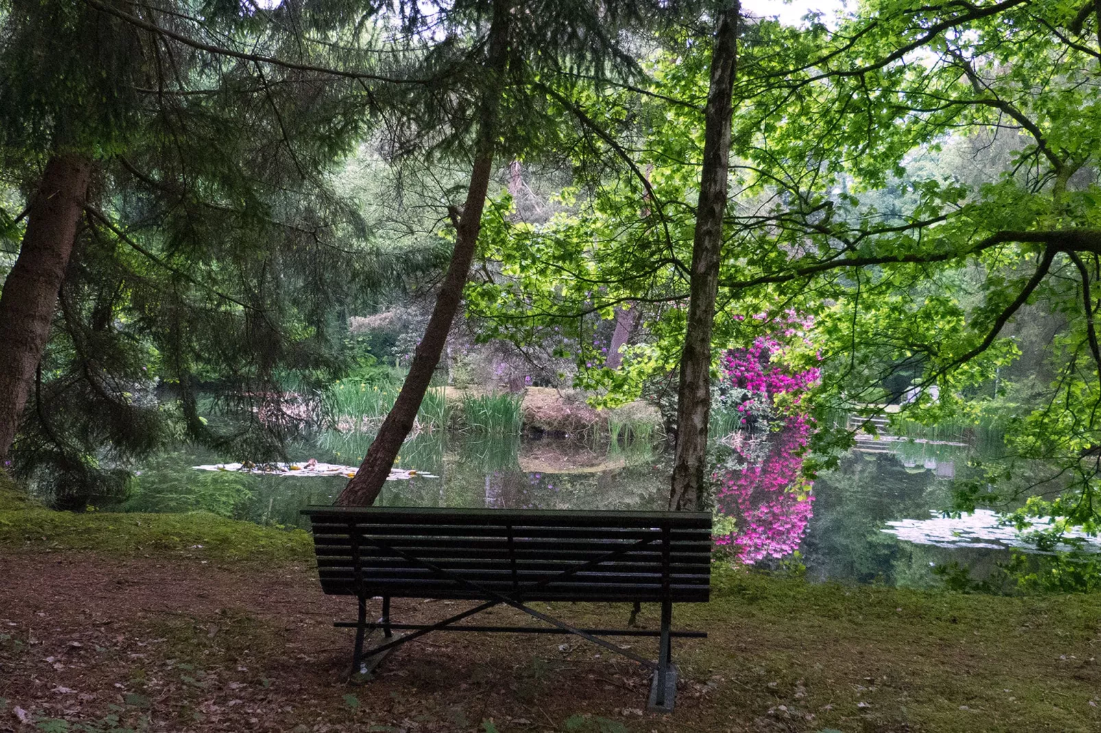 De Wijerschans-Gardens summer