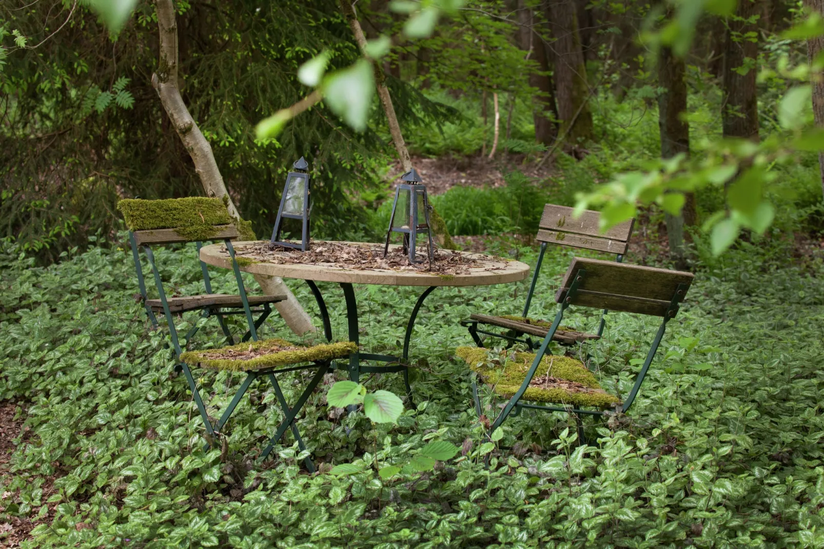 De Wijerschans-Gardens summer