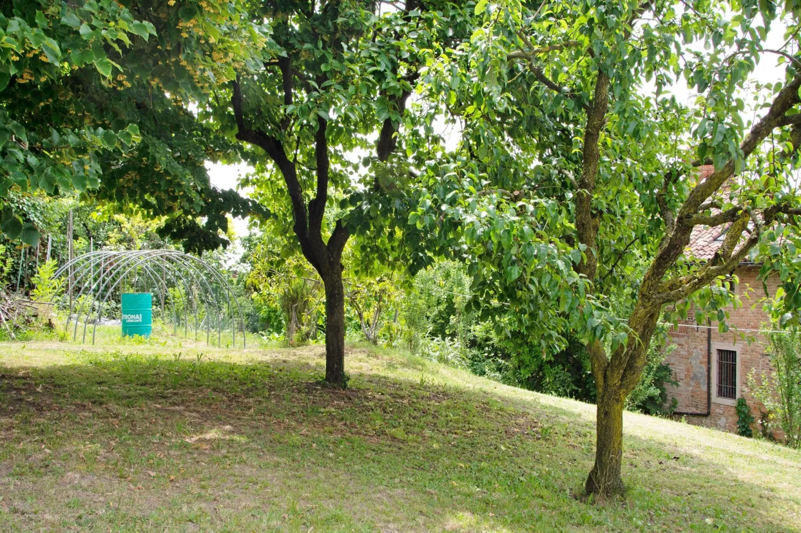 Casale Adriano Country House combo-Areas summer 1km