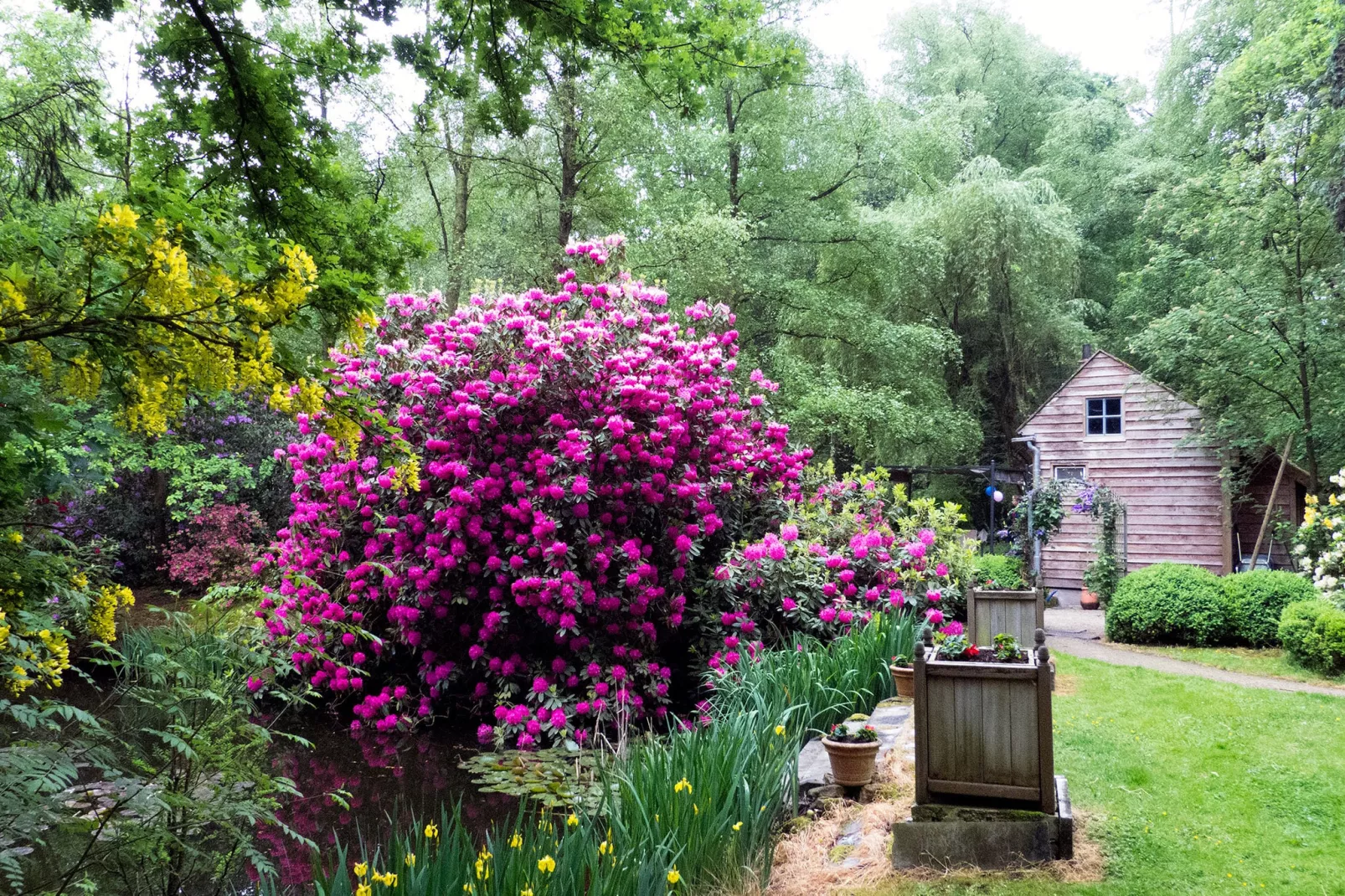 De Wijerschans-Gardens summer