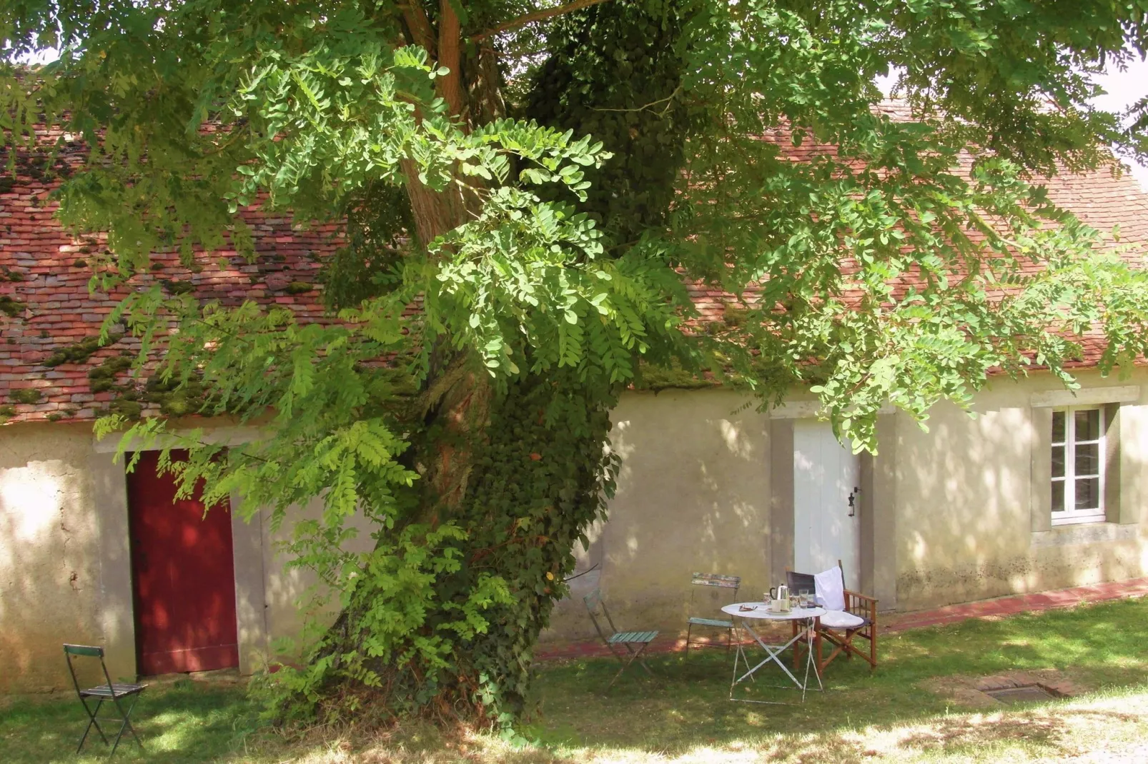 Un château en bordure de rivière-Gardens summer