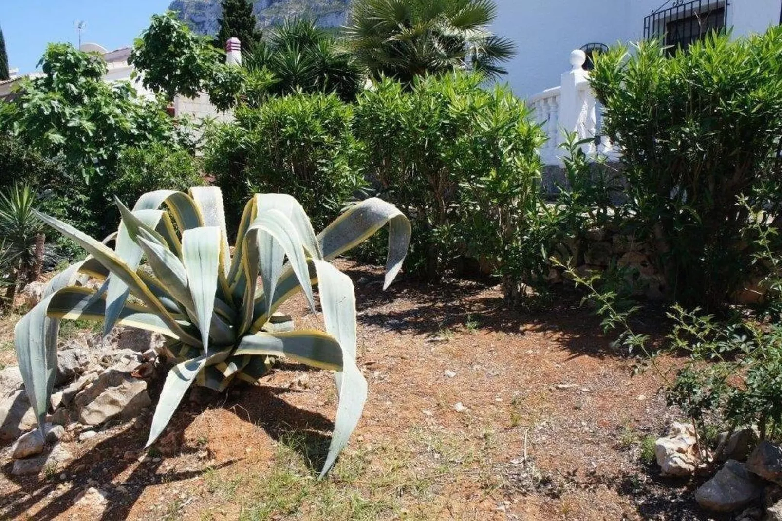 Villa Gaby-Gardens summer