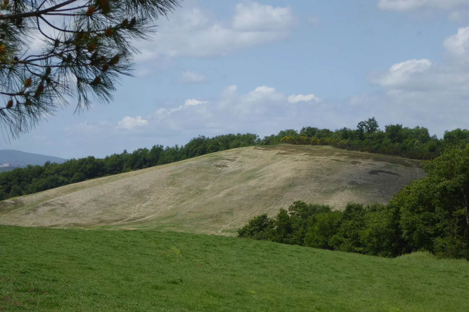 Fienile-Aussicht Sommer