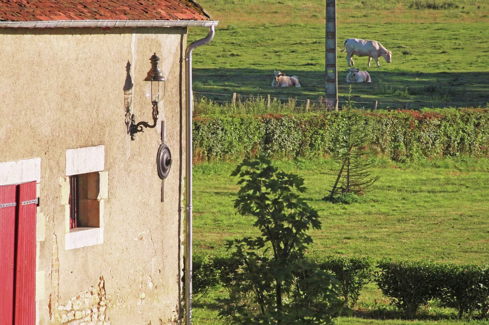 Un château en bordure de rivière-View summer