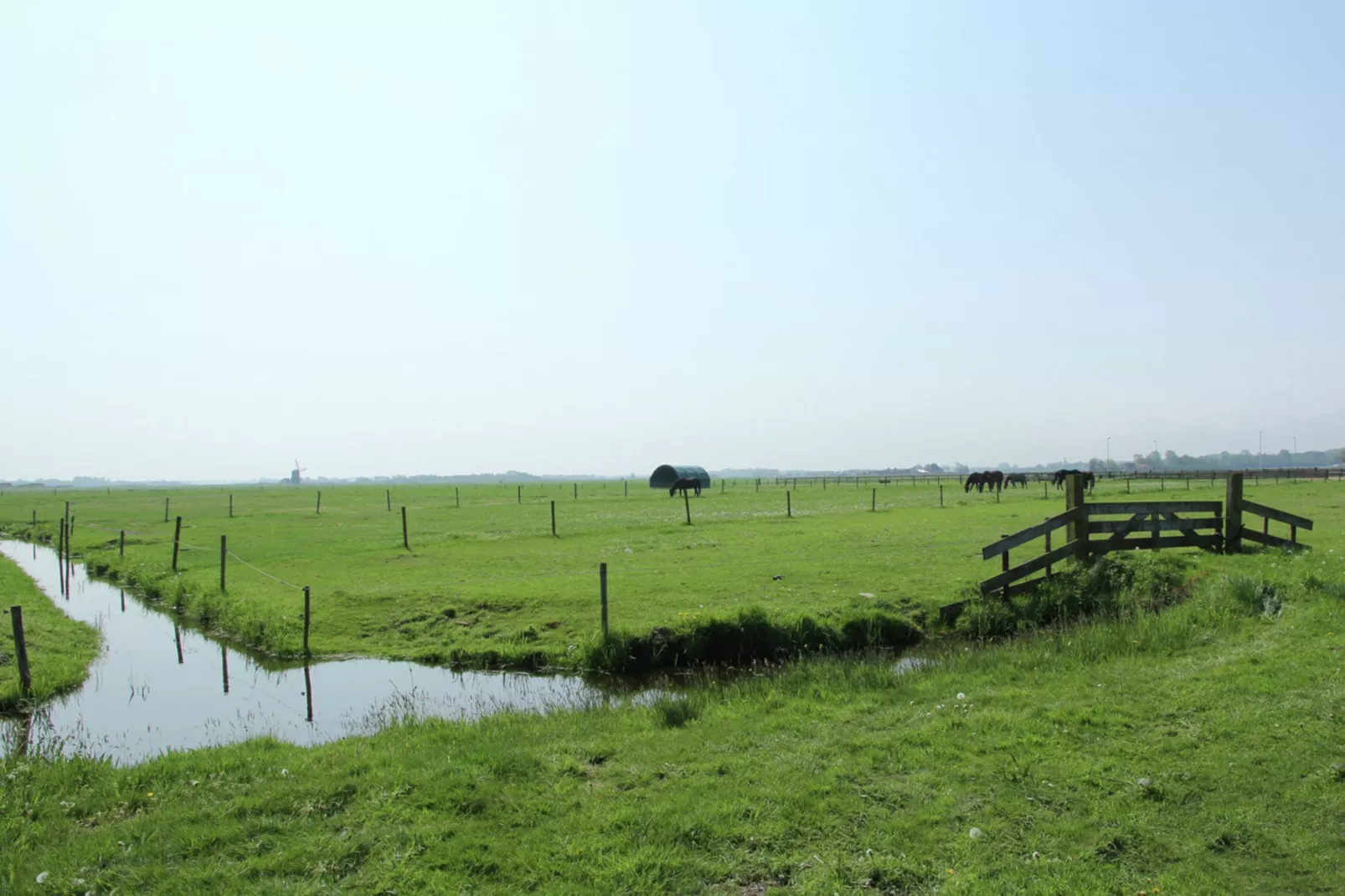 De Schone Leij-View summer
