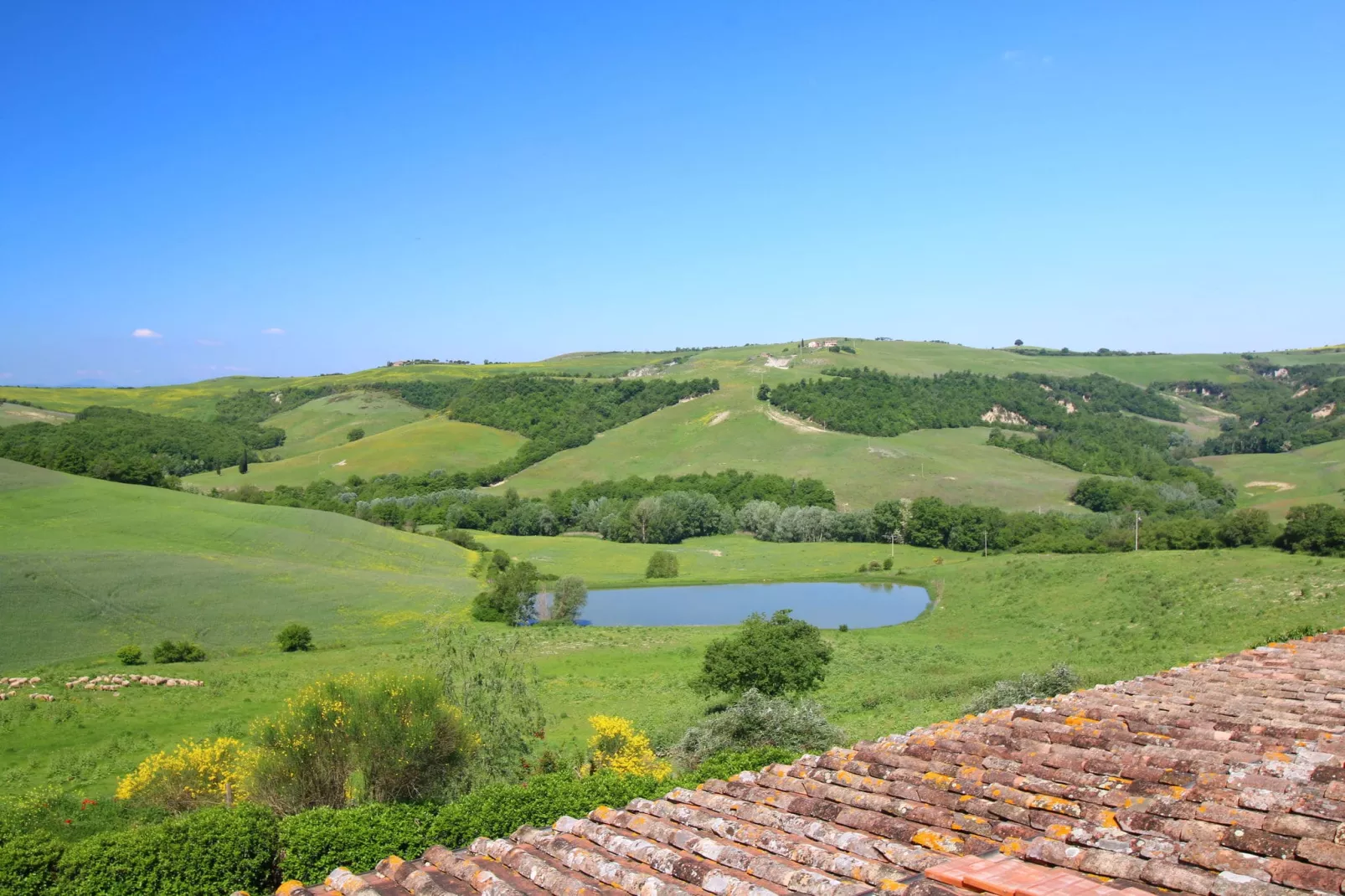 La Verbena-Aussicht Sommer