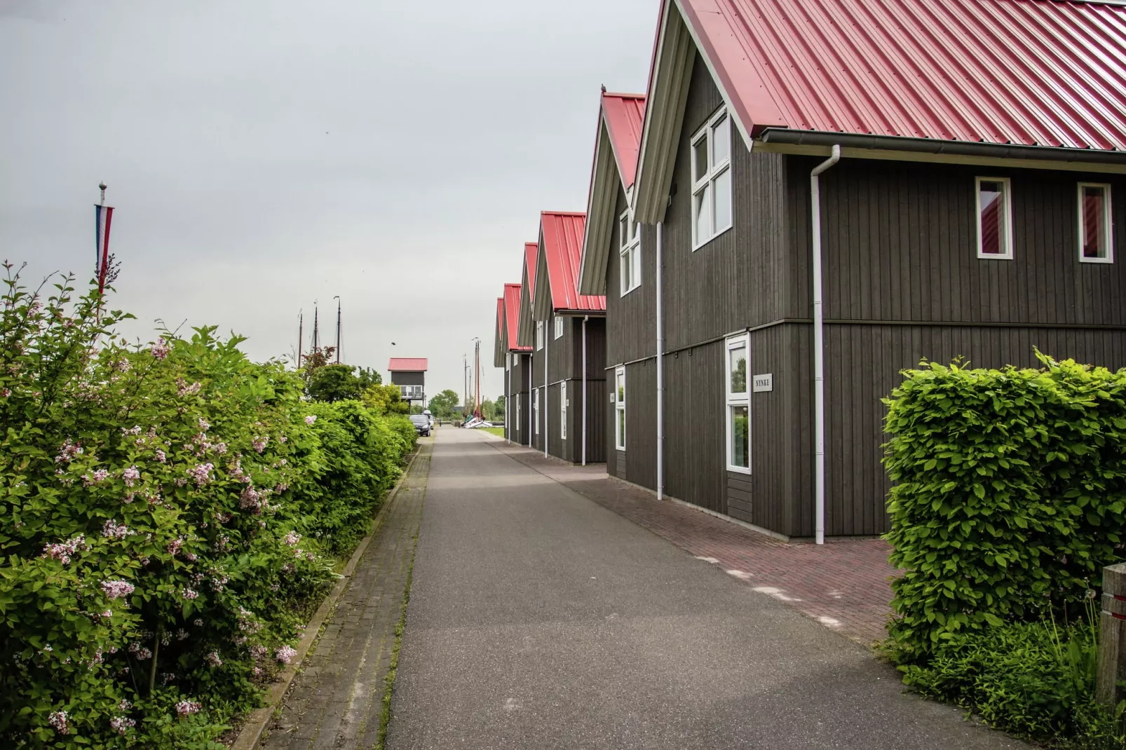 Havenresort Terherne 1-Exterior summer